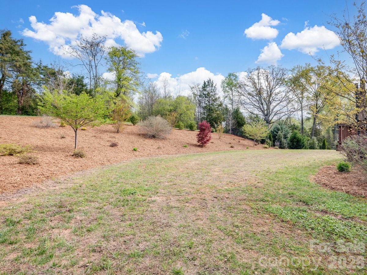 1015 Golden Bell Drive Property Photo 43