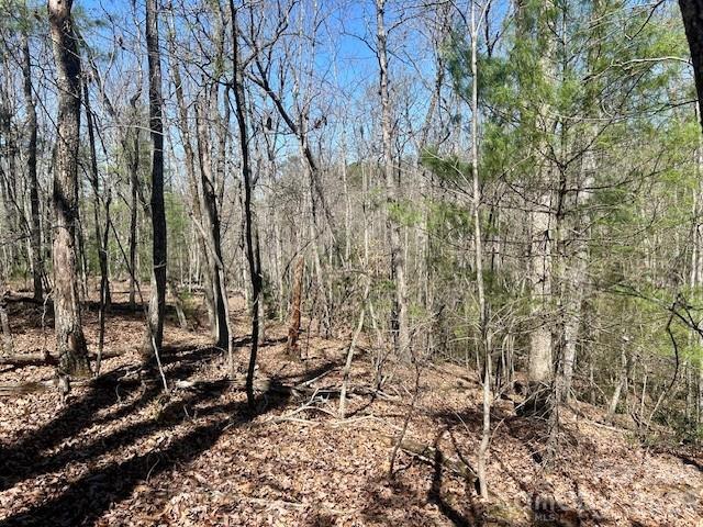 Tbd Connelly Springs Road 5 Property Photo 1