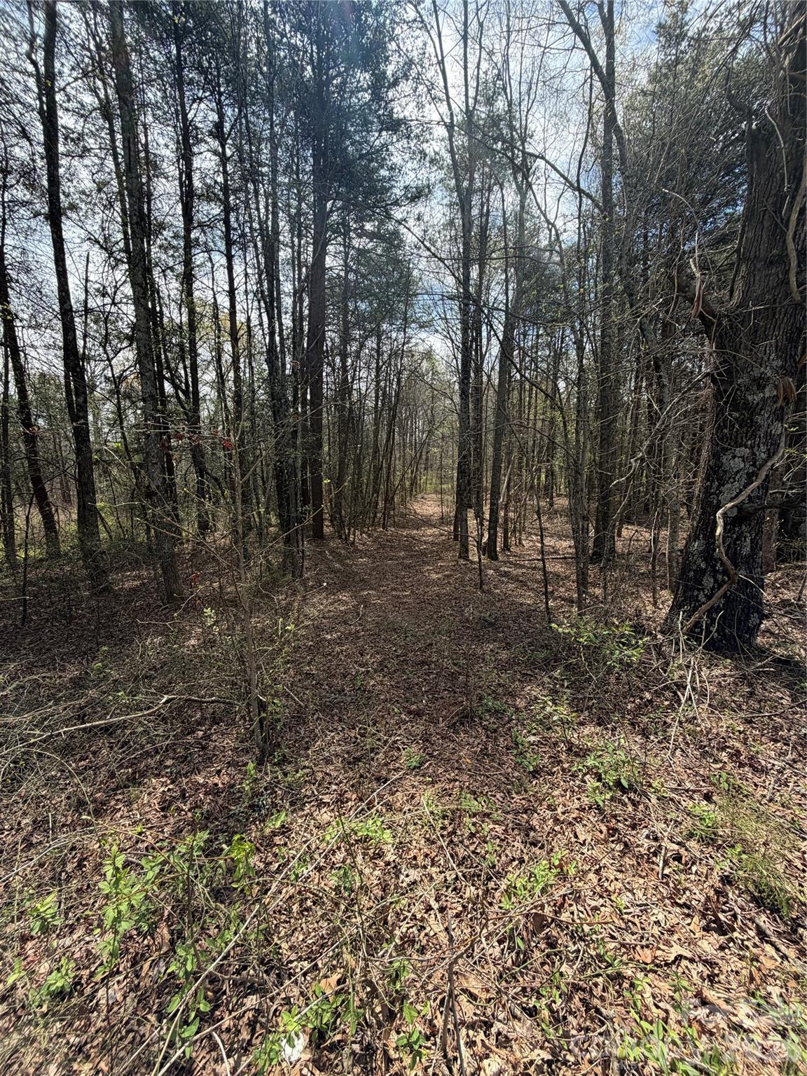 5495 Bucks Garage Road Property Photo 1