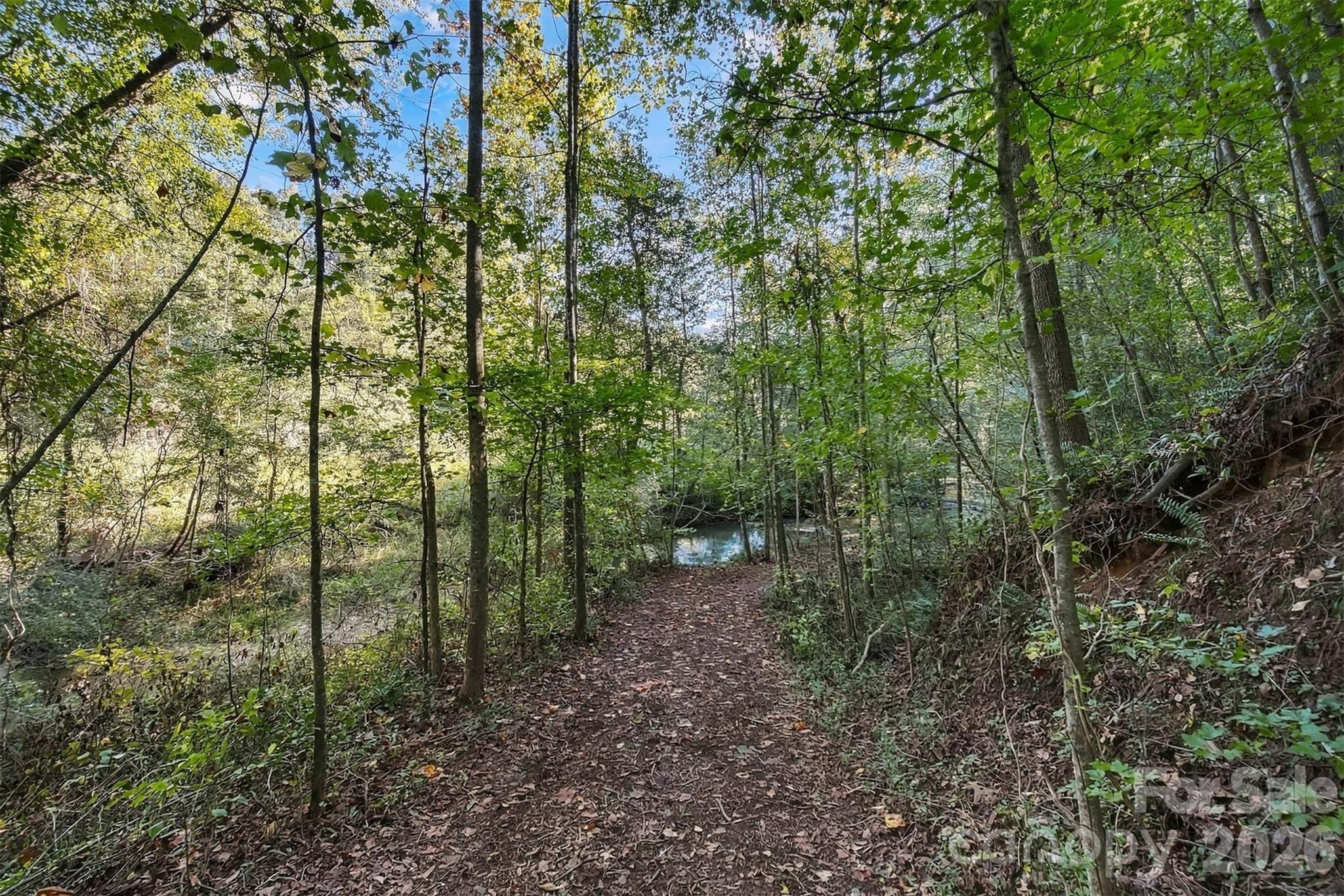3330 Shamrock Heights Property Photo 42