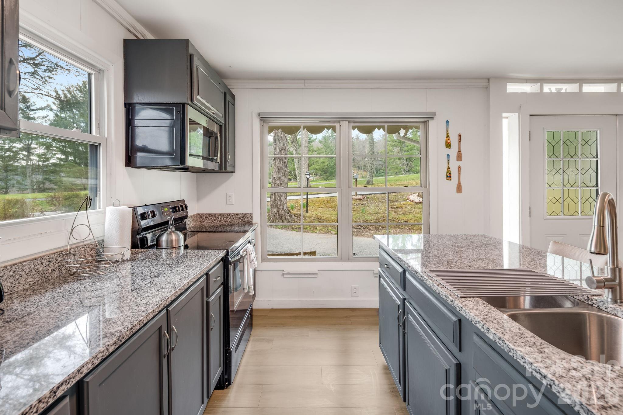 2203 Swiss Pine Lake Drive Property Photo 10