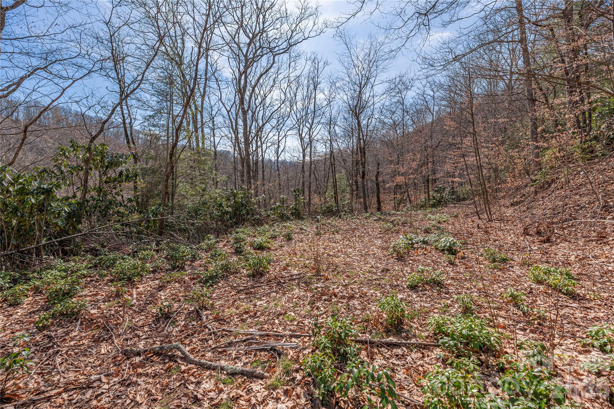 00 Autumn Drive Property Photo 6