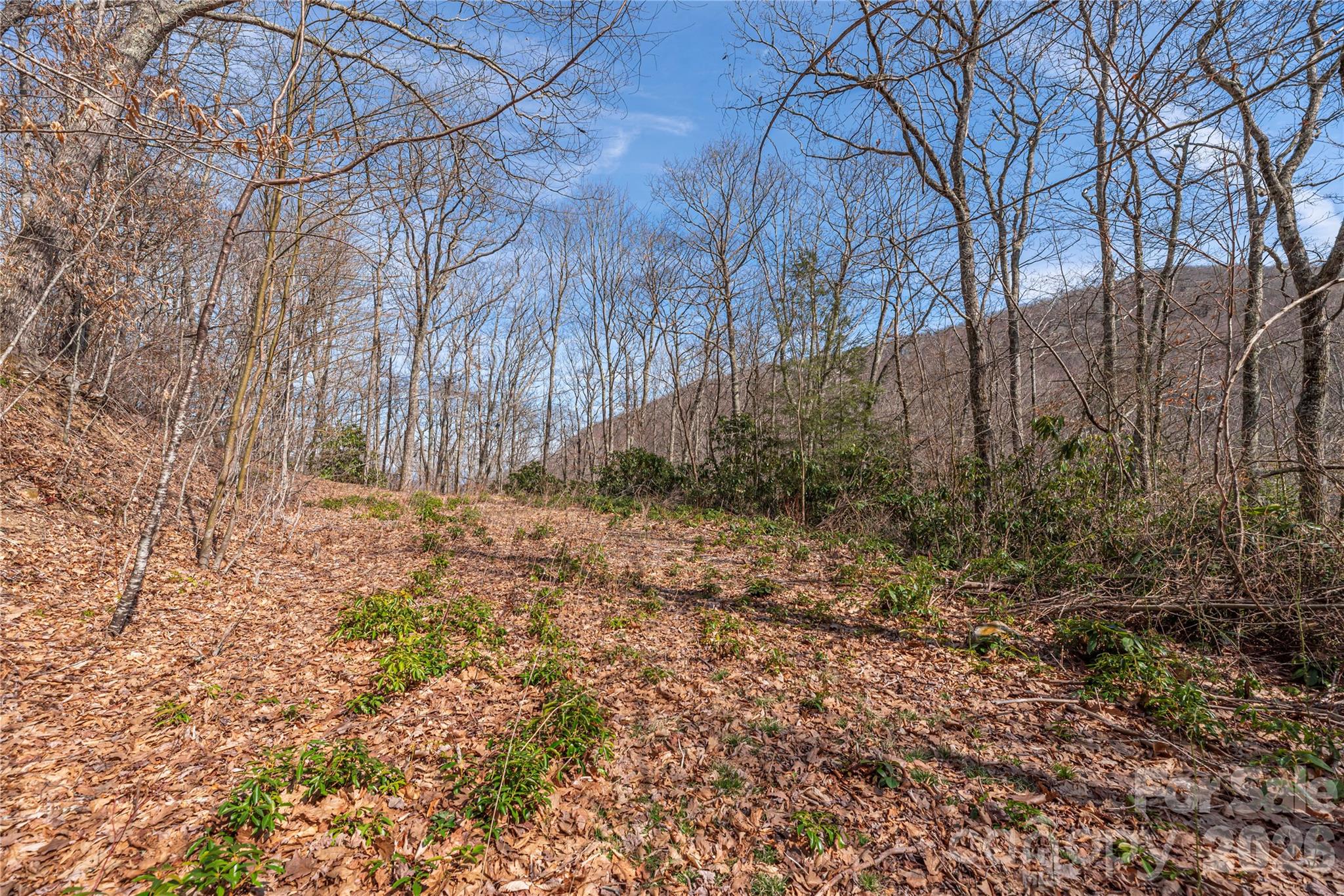 00 Autumn Drive Property Photo 7