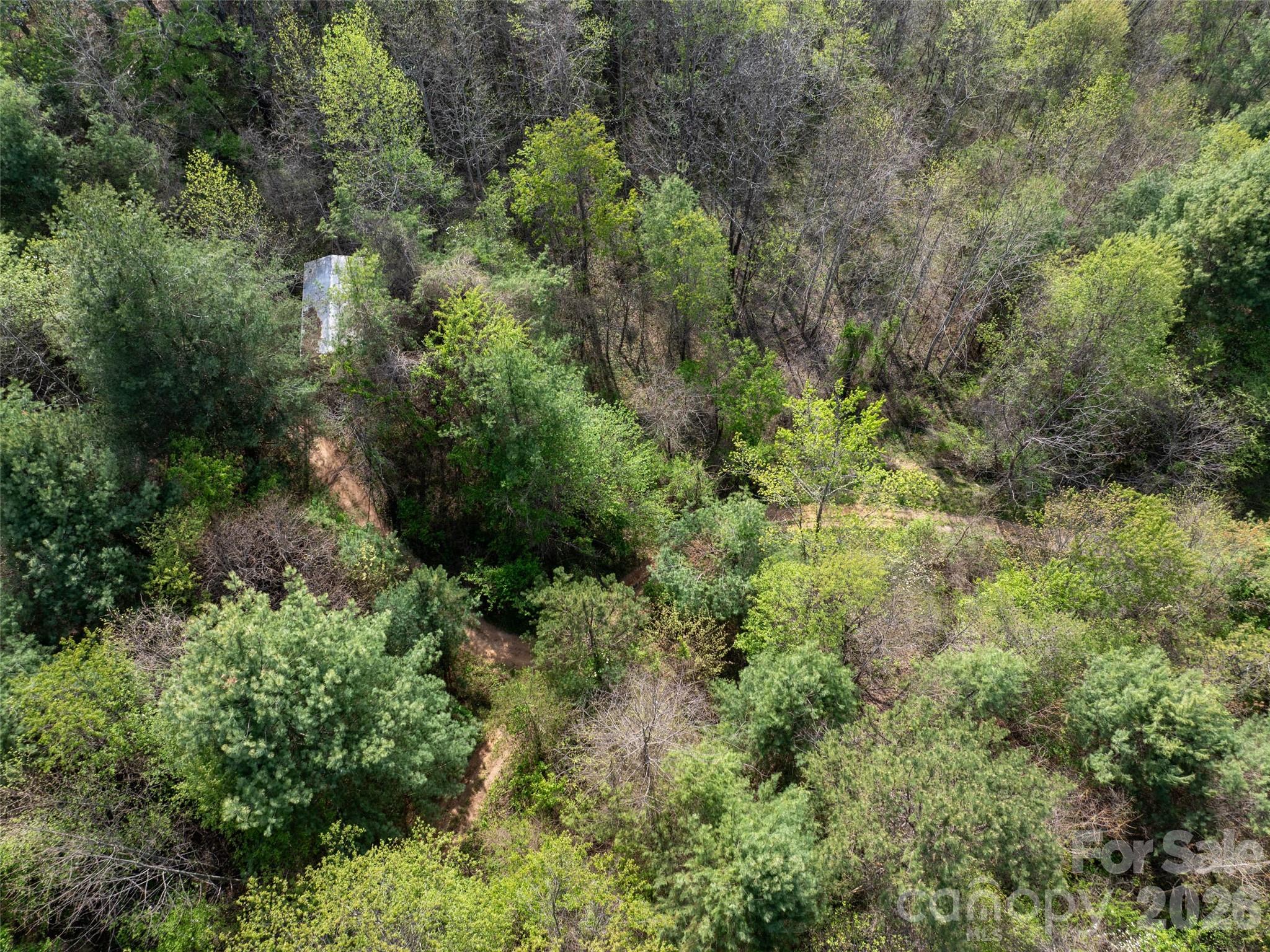 Lot 38 Sunnybrook Trail Property Photo 5