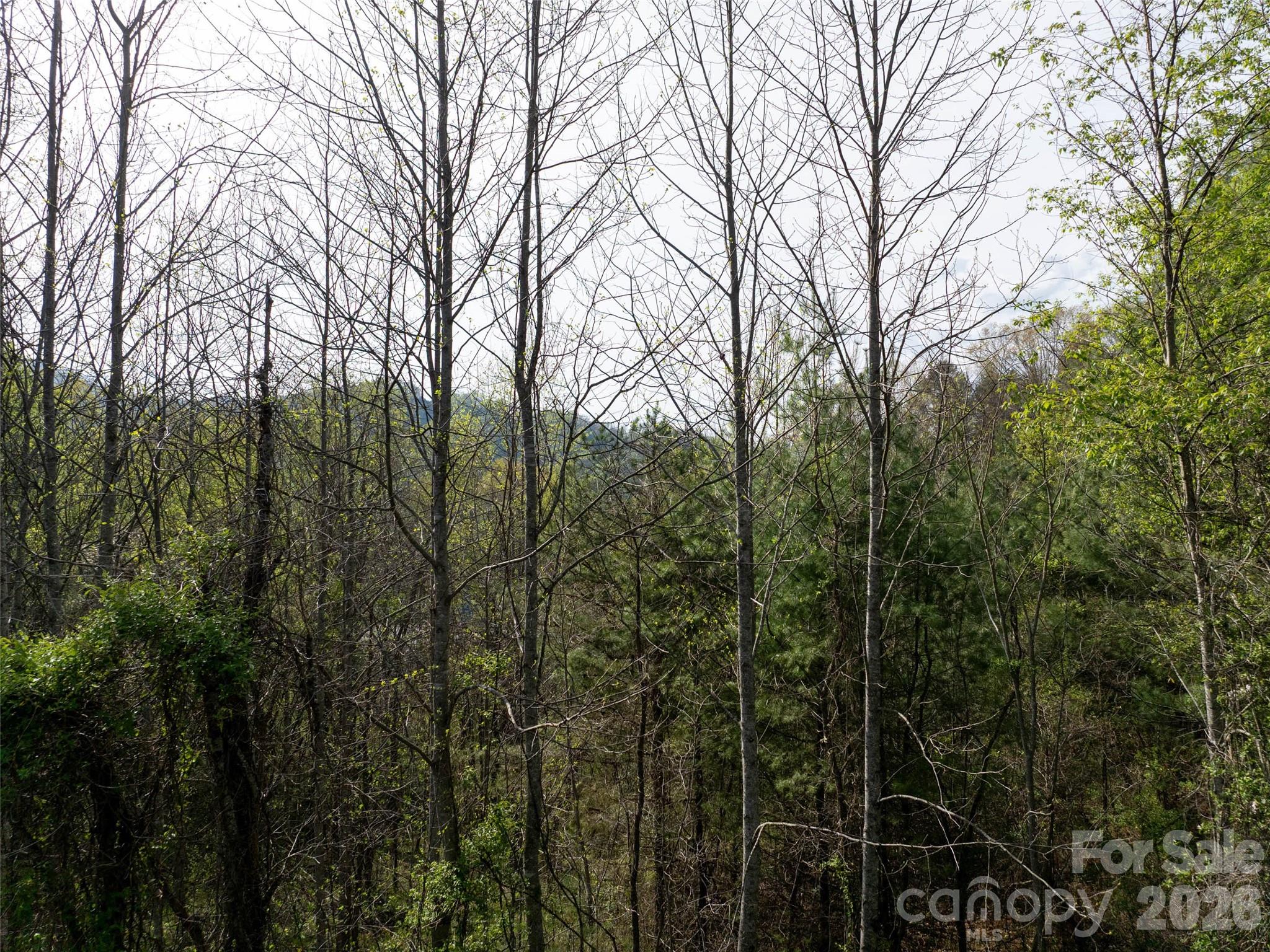 Lot 38 Sunnybrook Trail Property Photo 6