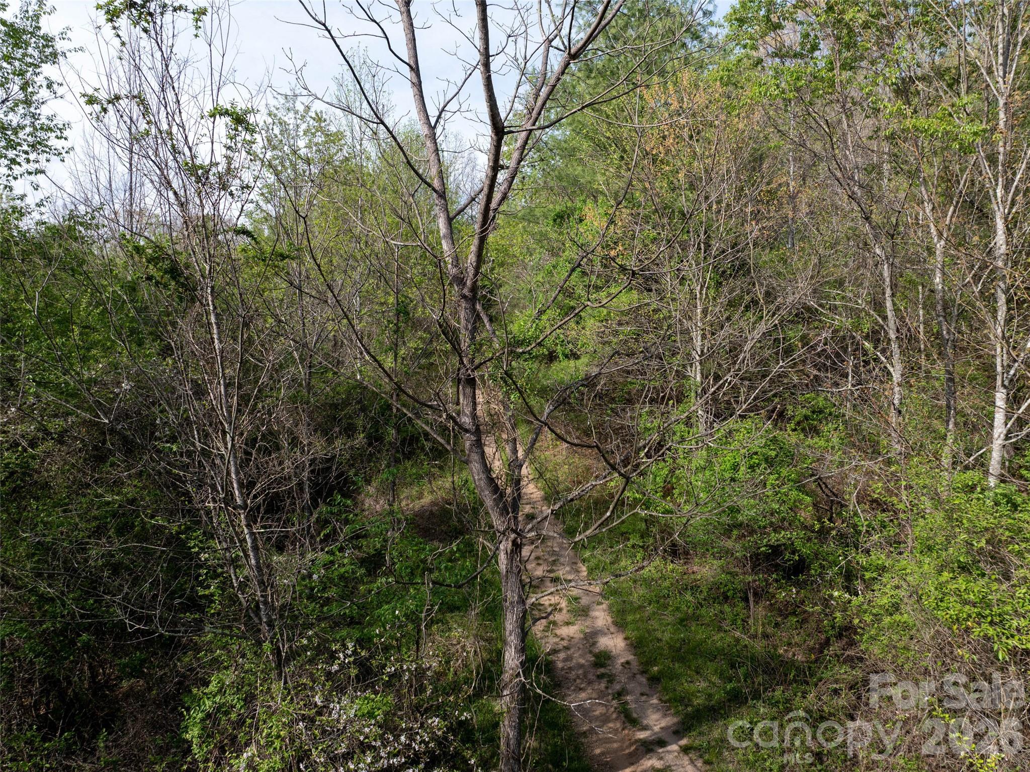 Lot 38 Sunnybrook Trail Property Photo 7