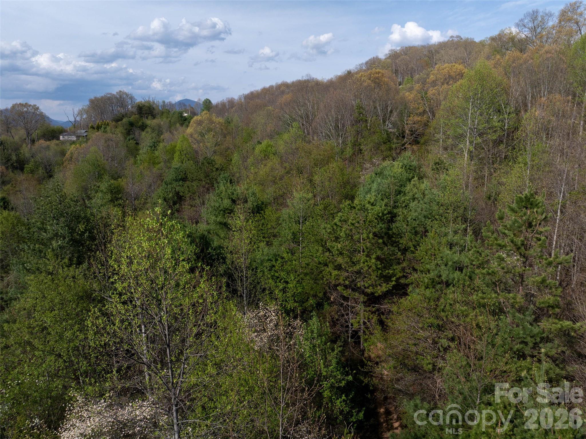 Lot 38 Sunnybrook Trail Property Photo 9