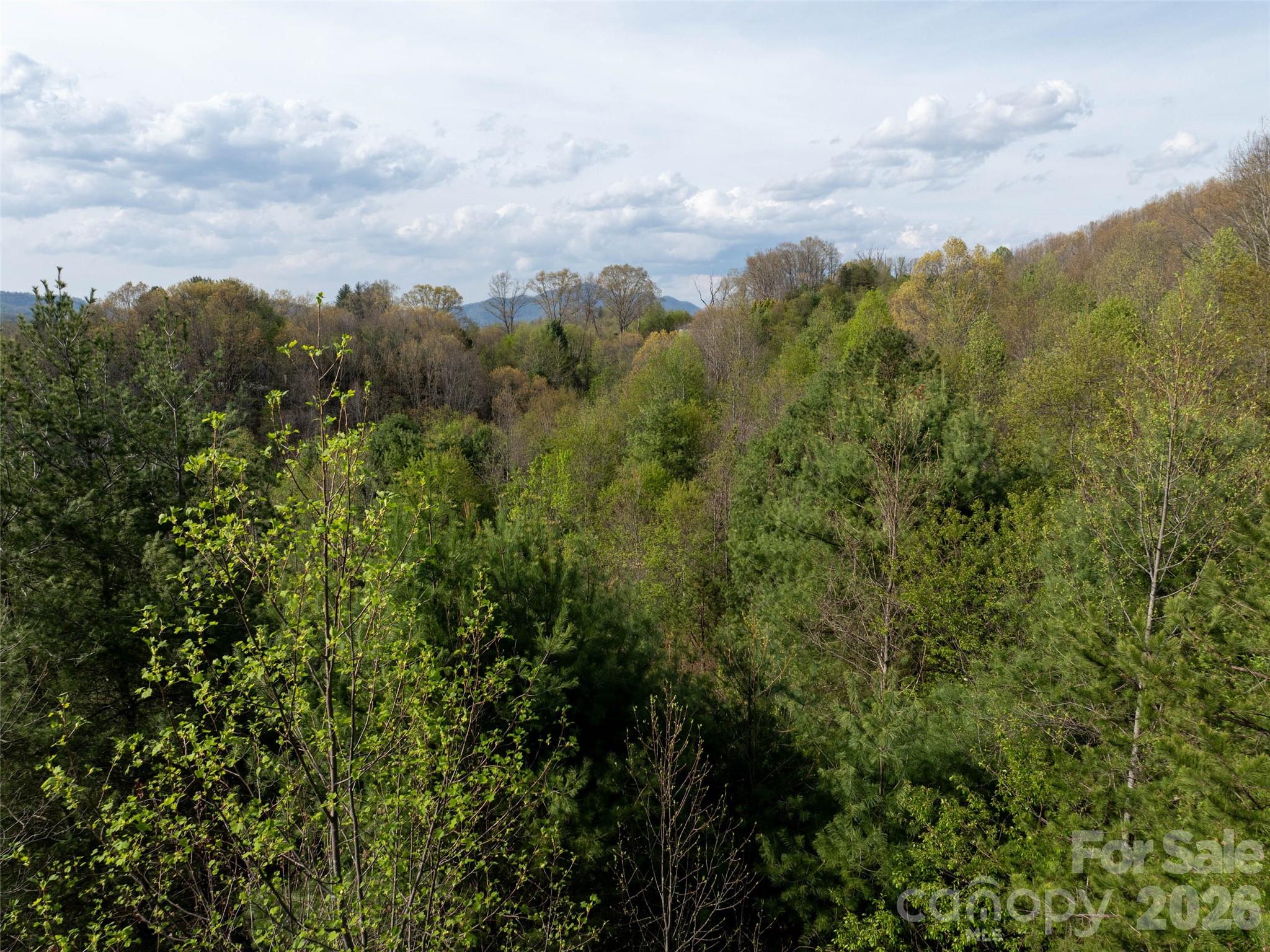 Lot 38 Sunnybrook Trail Property Photo 10