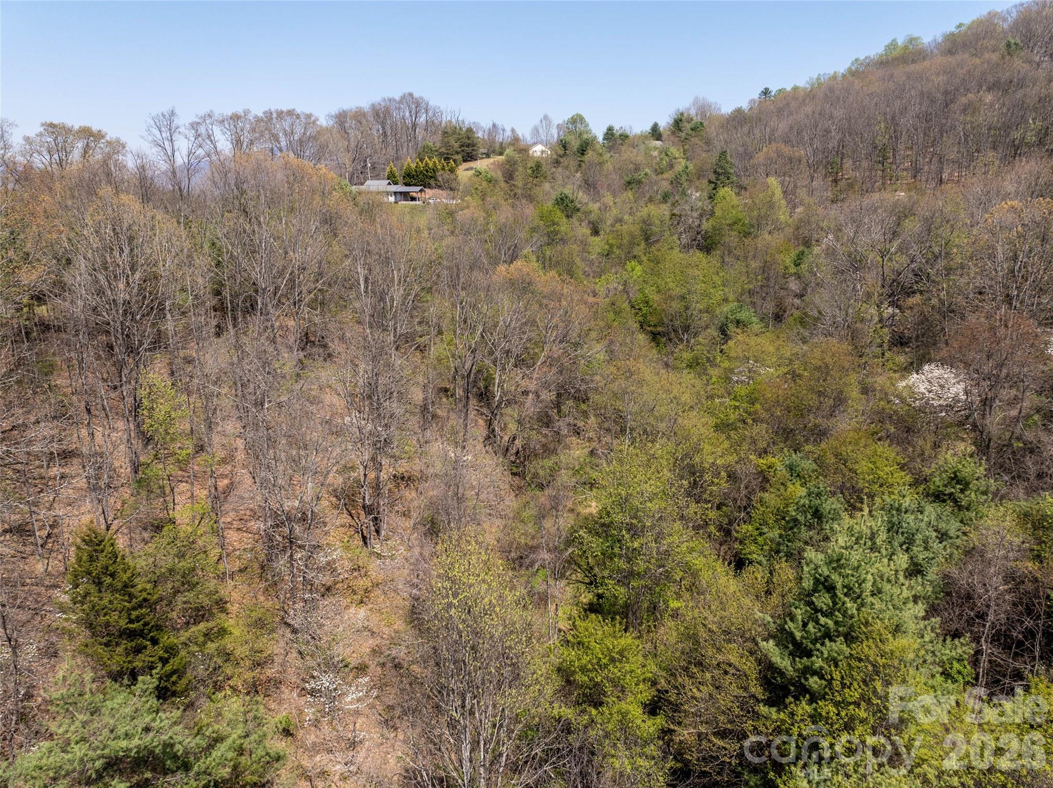 Lot 42 Sunnybrook Trail Property Photo 5