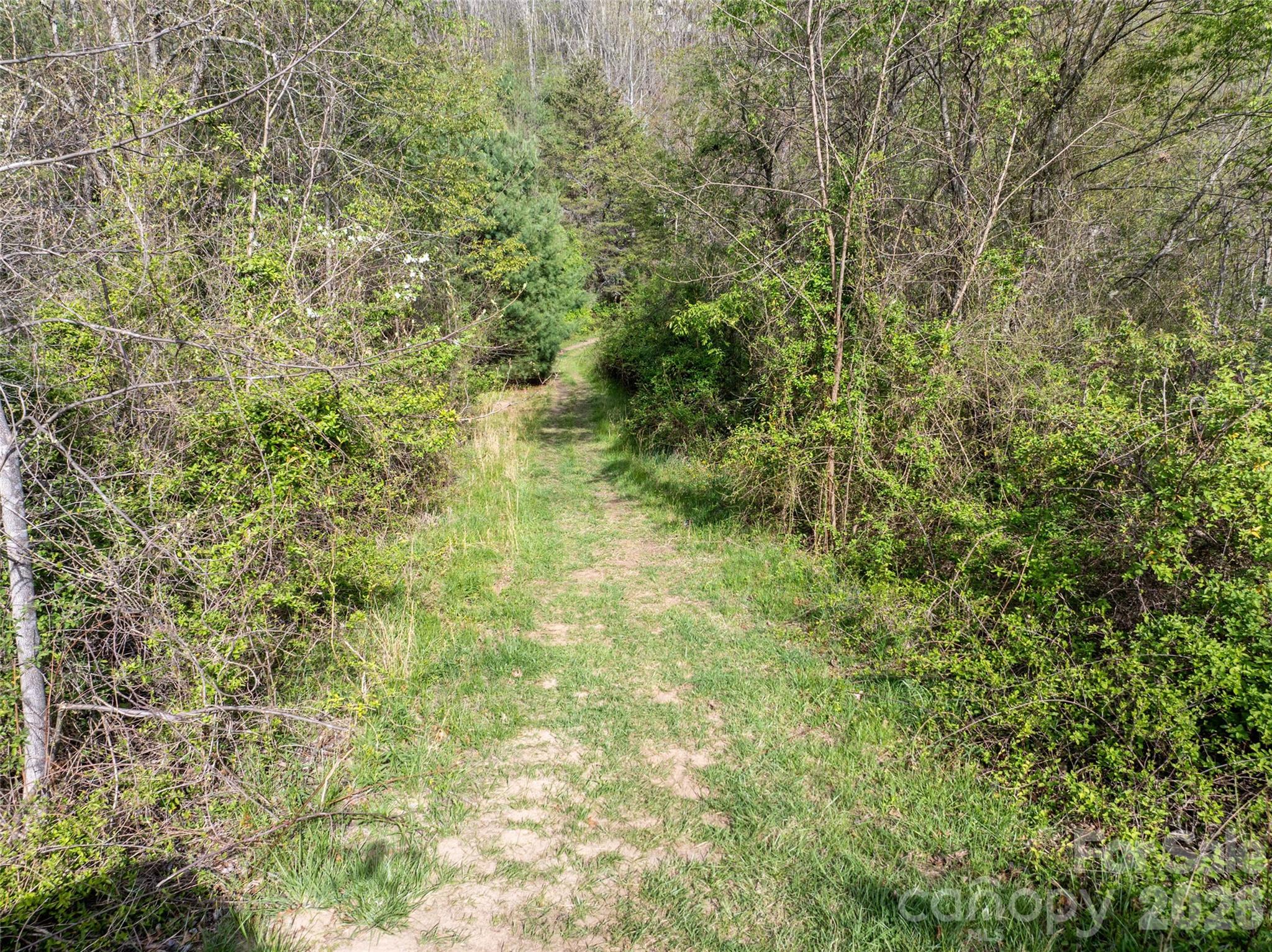 Lot 42 Sunnybrook Trail Property Photo 6