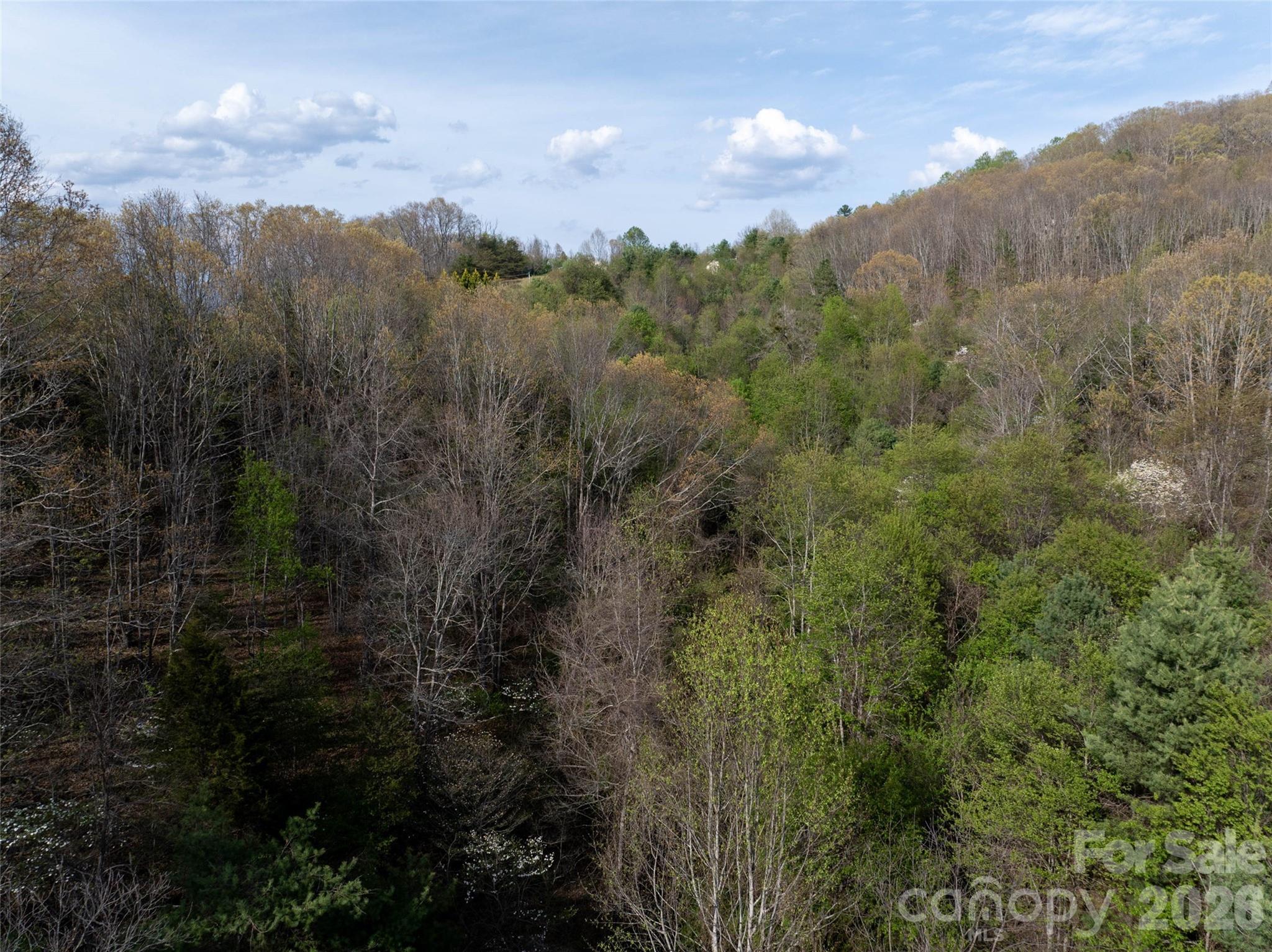 Lot 42 Sunnybrook Trail Property Photo 7