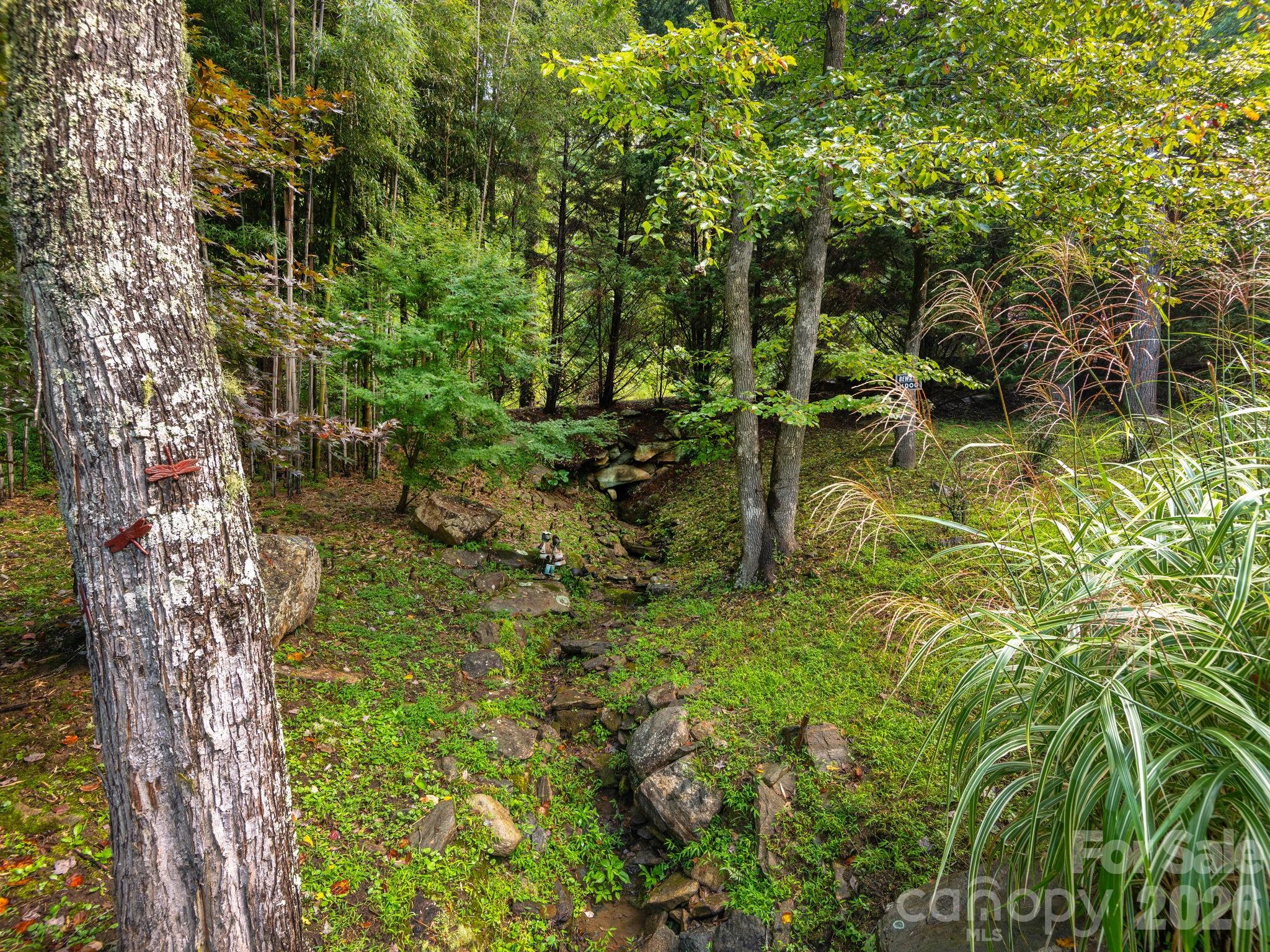 420 Chimney Rock Drive Property Photo 35