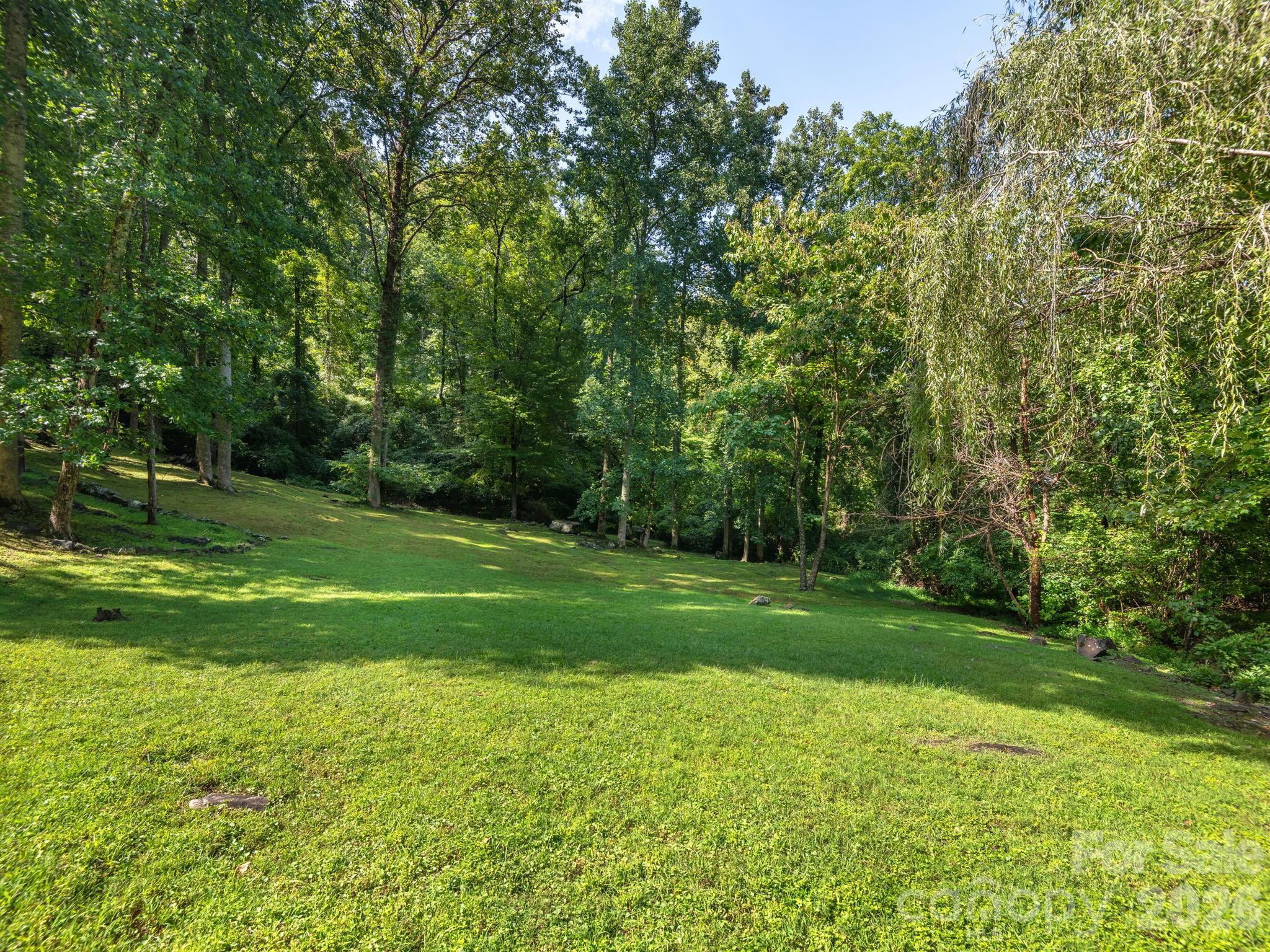 420 Chimney Rock Drive Property Photo 37