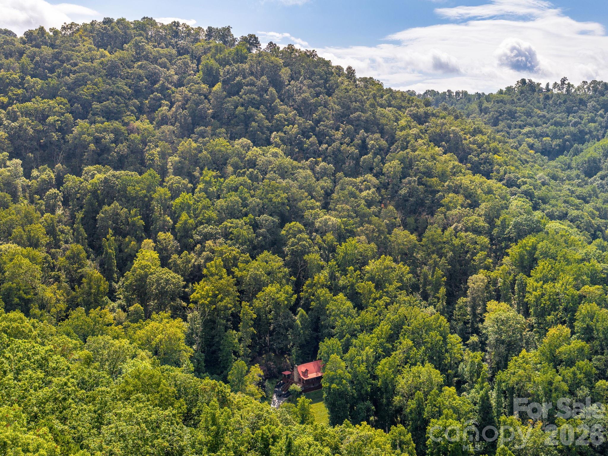 420 Chimney Rock Drive Property Photo 41