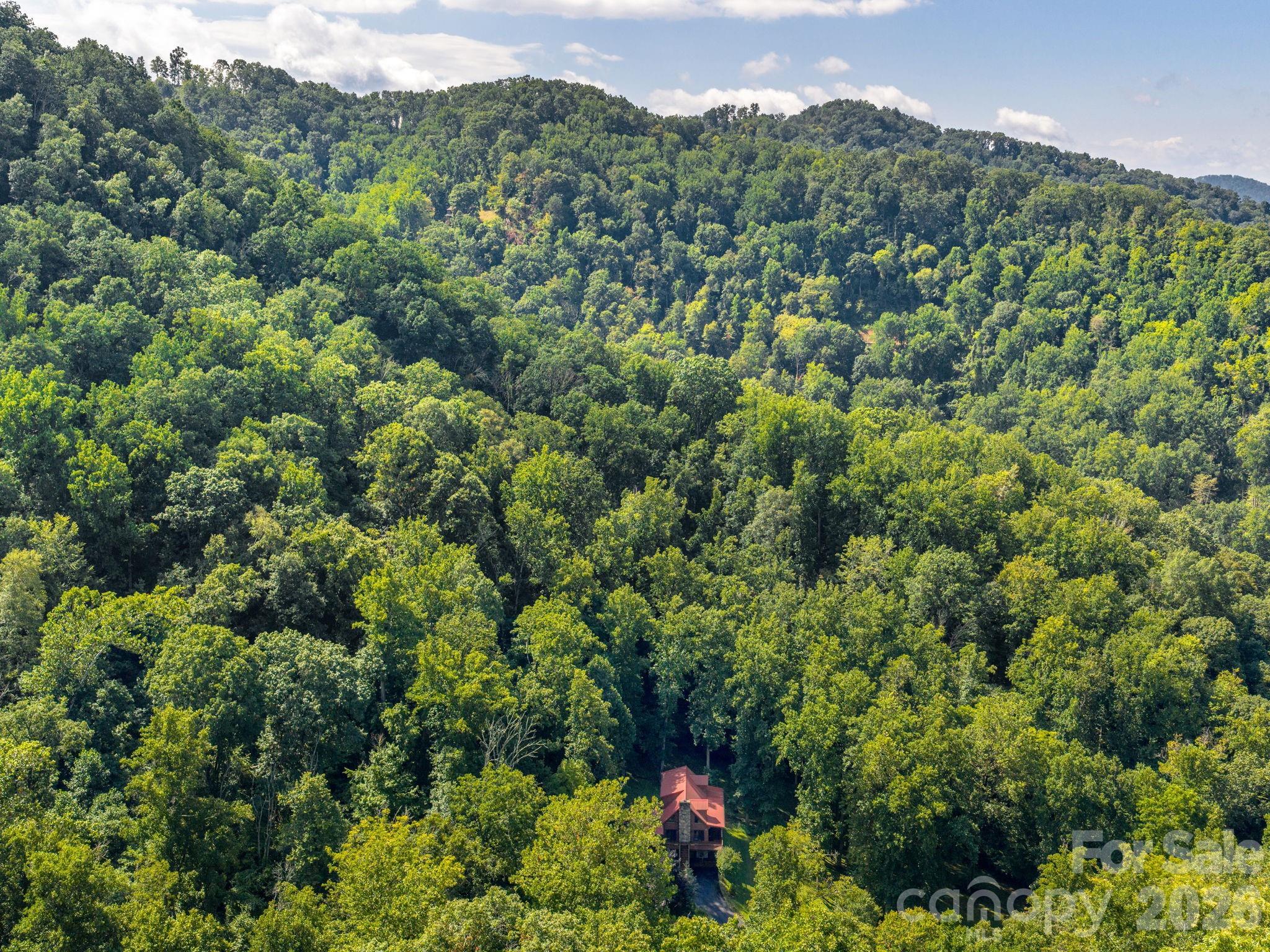 420 Chimney Rock Drive Property Photo 42