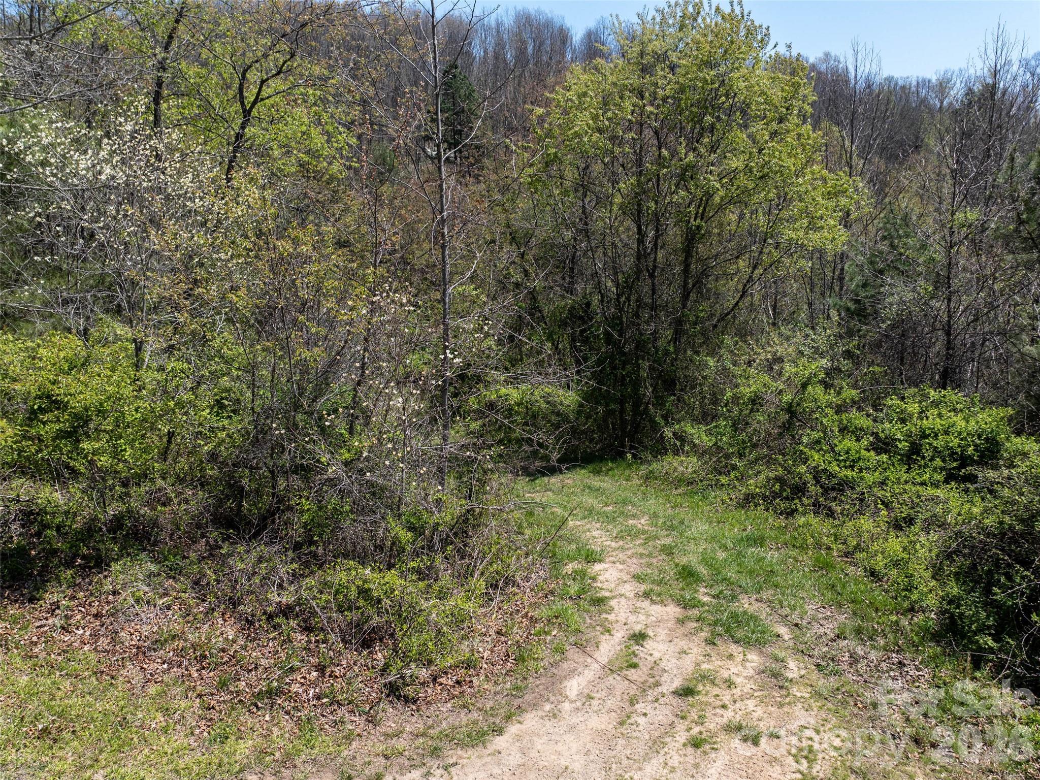 Lot 43 Sunnybrook Trail Property Photo 3