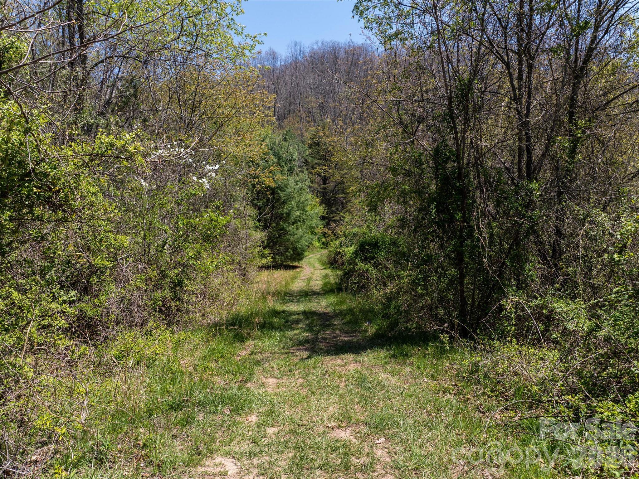 Lot 43 Sunnybrook Trail Property Photo 4
