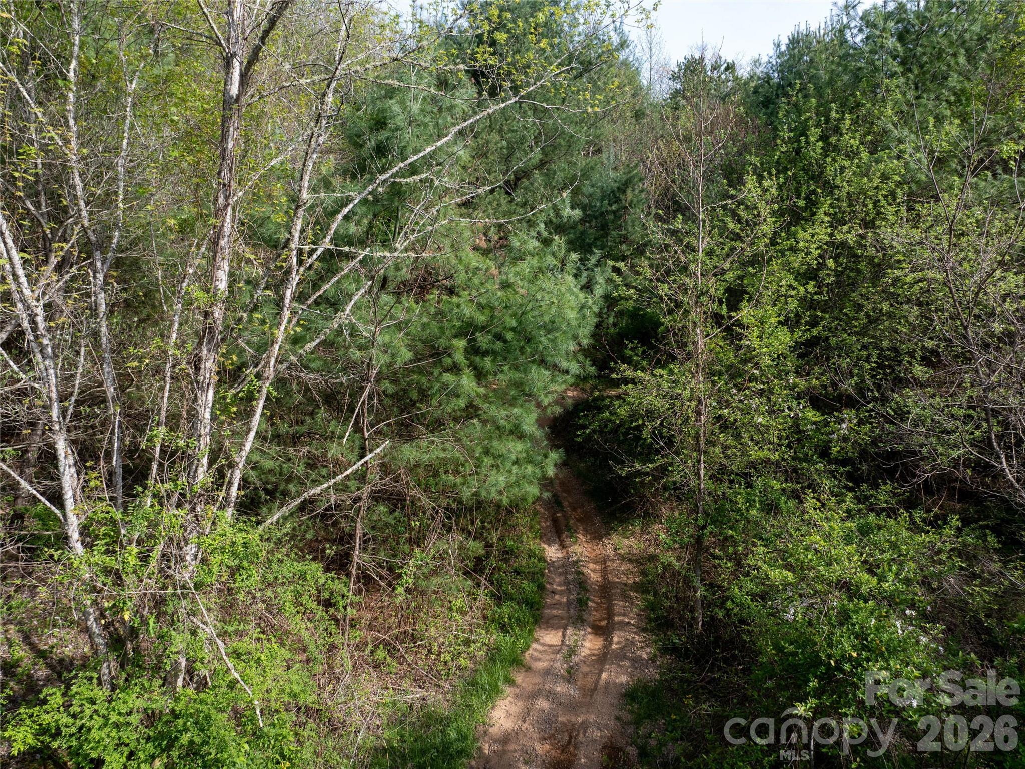 Lot 43 Sunnybrook Trail Property Photo 8