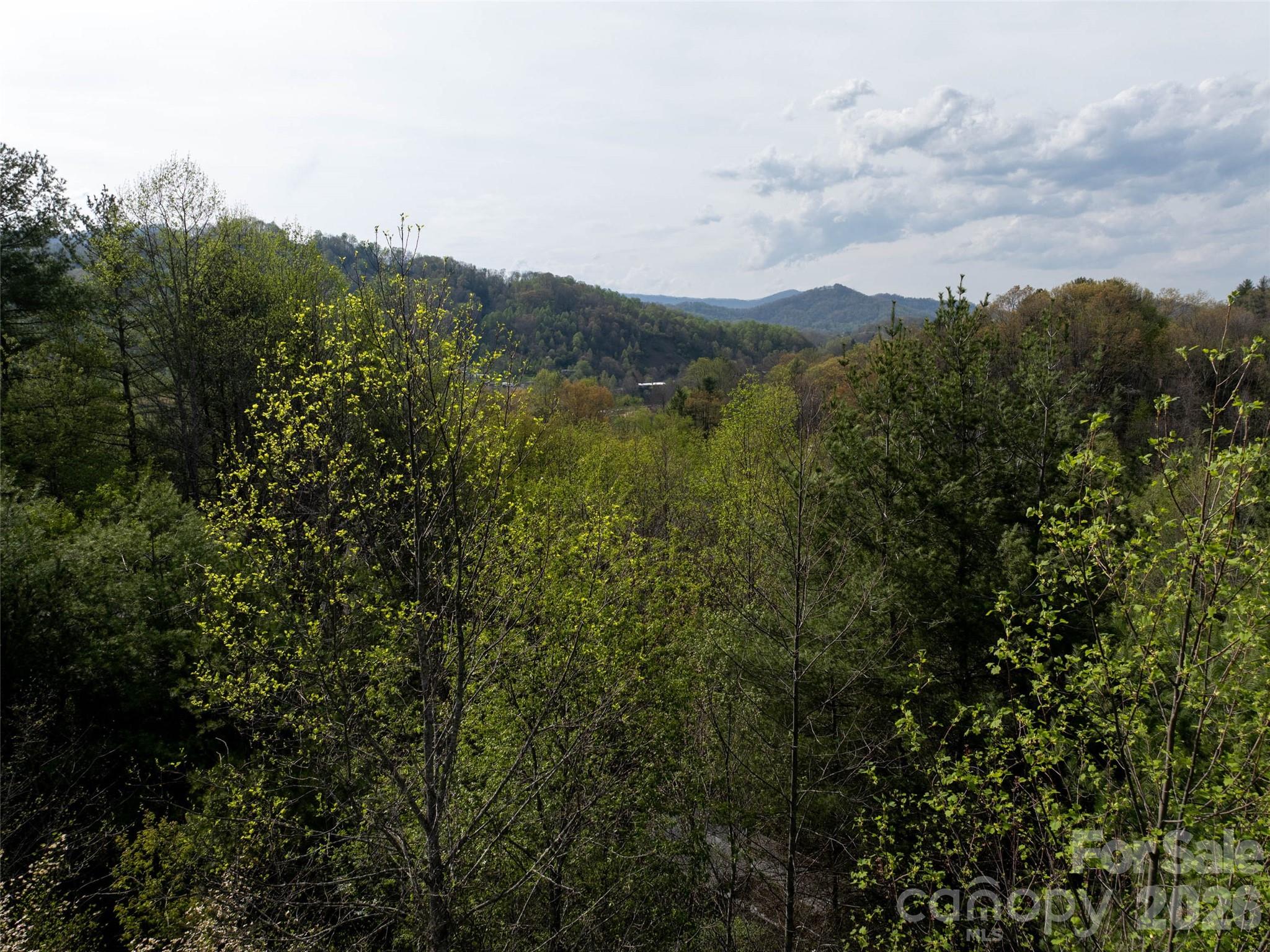 Lot 43 Sunnybrook Trail Property Photo 9