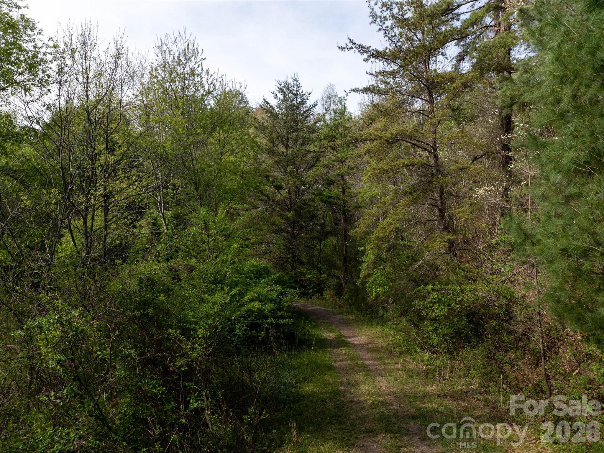 Lot 43 Sunnybrook Trail Property Photo 11