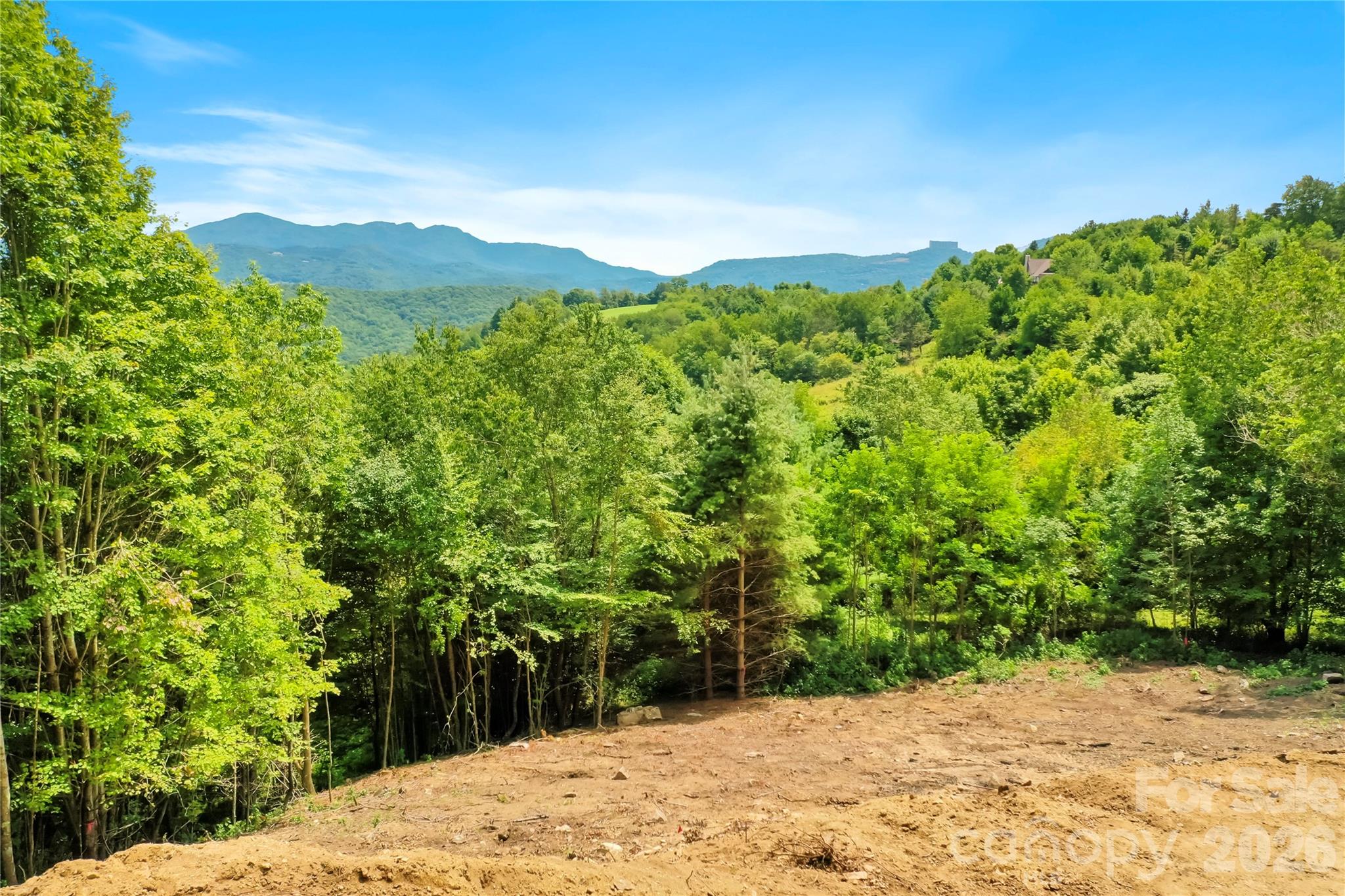 515 Grey Fox Ridge Property Photo 4