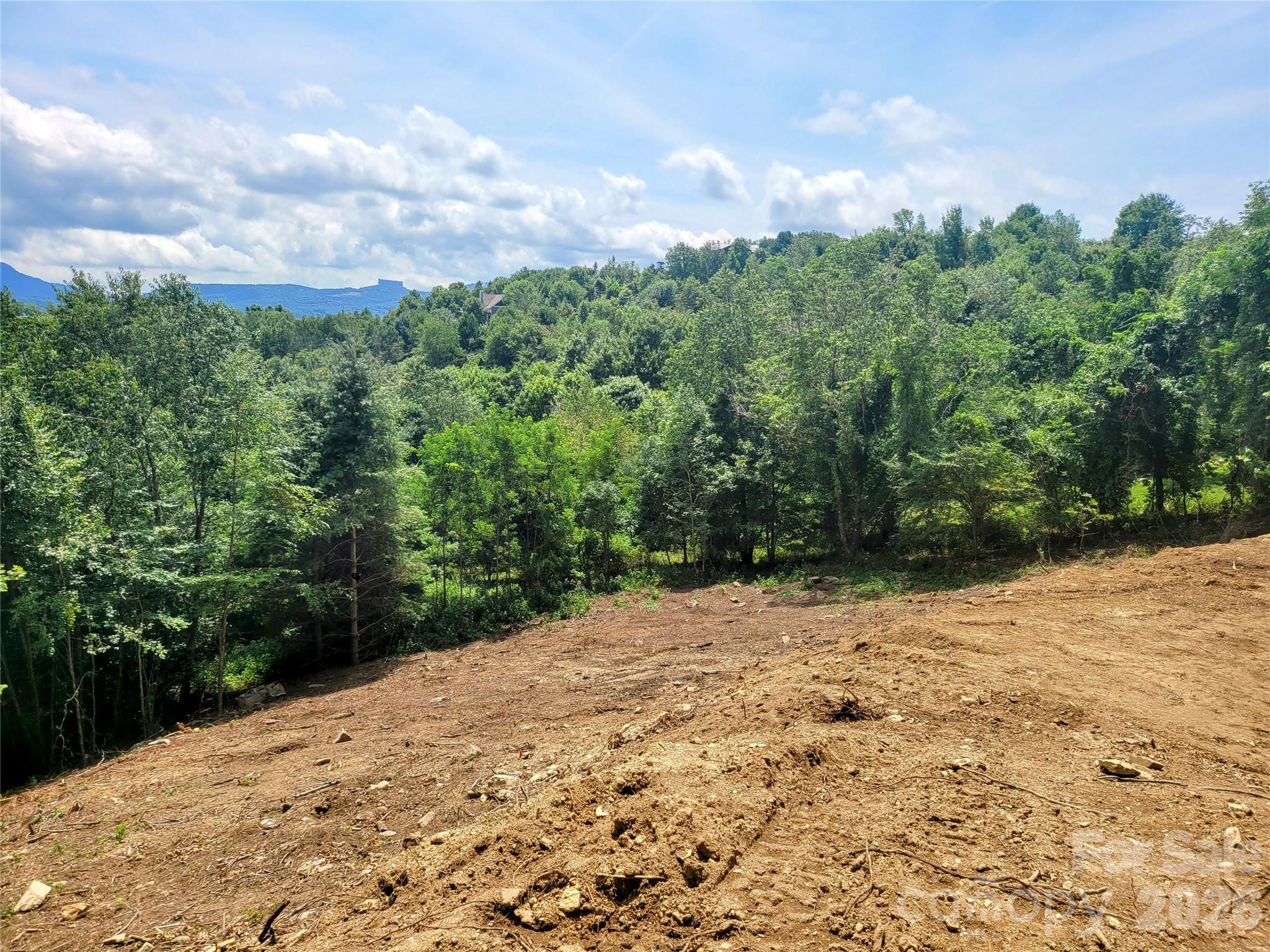 515 Grey Fox Ridge Property Photo 9