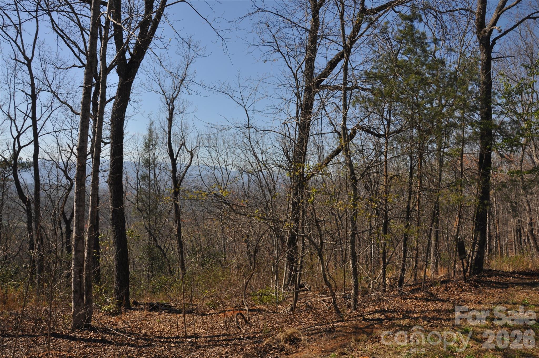 TBD Mountain Crest Drive 41