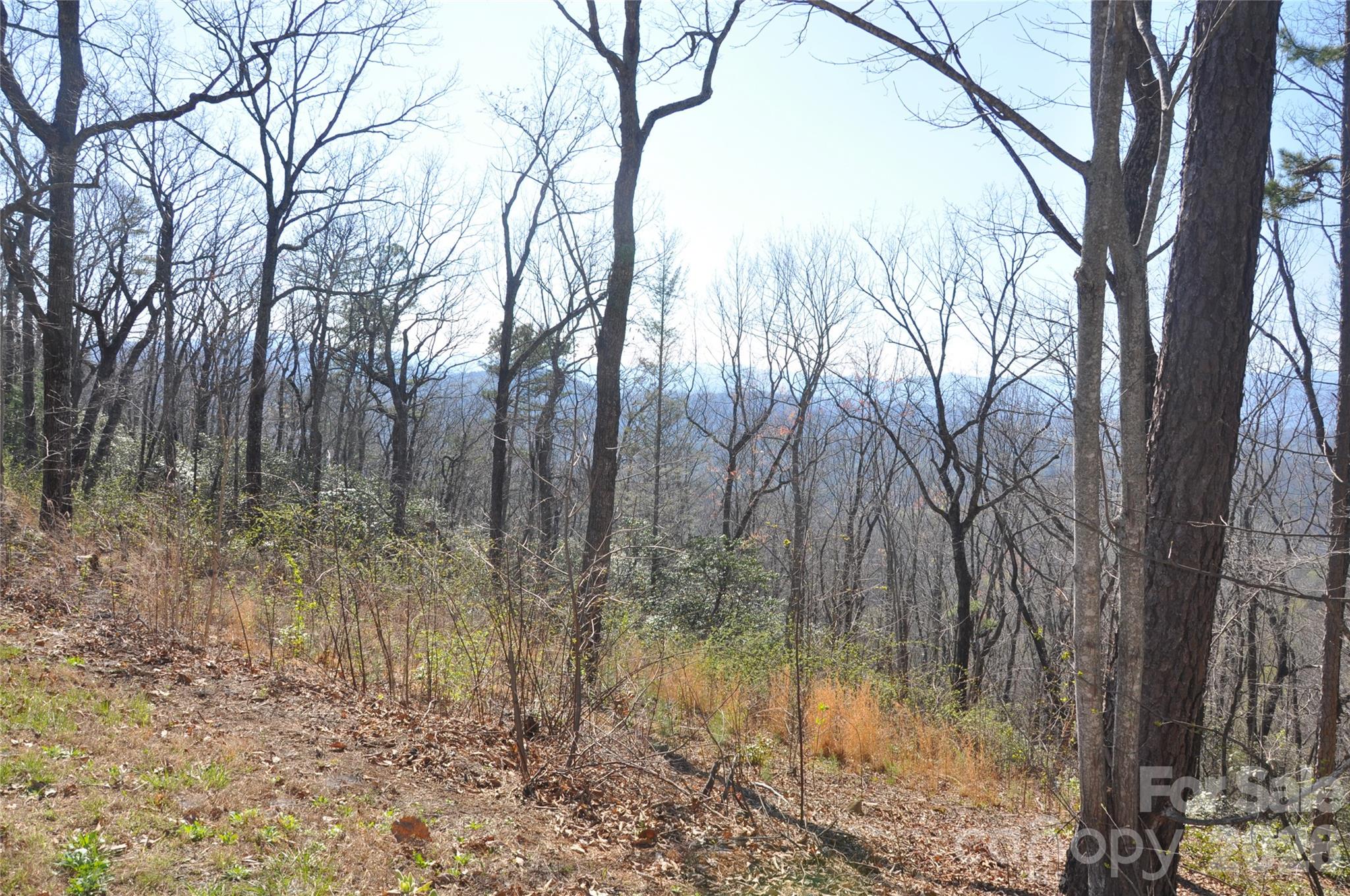 Tbd Mountain Crest Drive 41 Property Photo 3