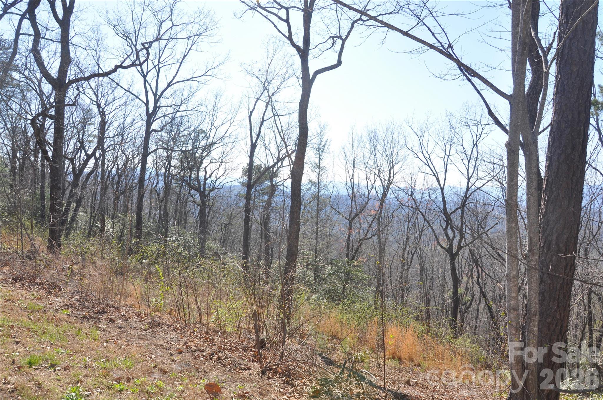 Tbd Mountain Crest Drive 41 Property Photo 4