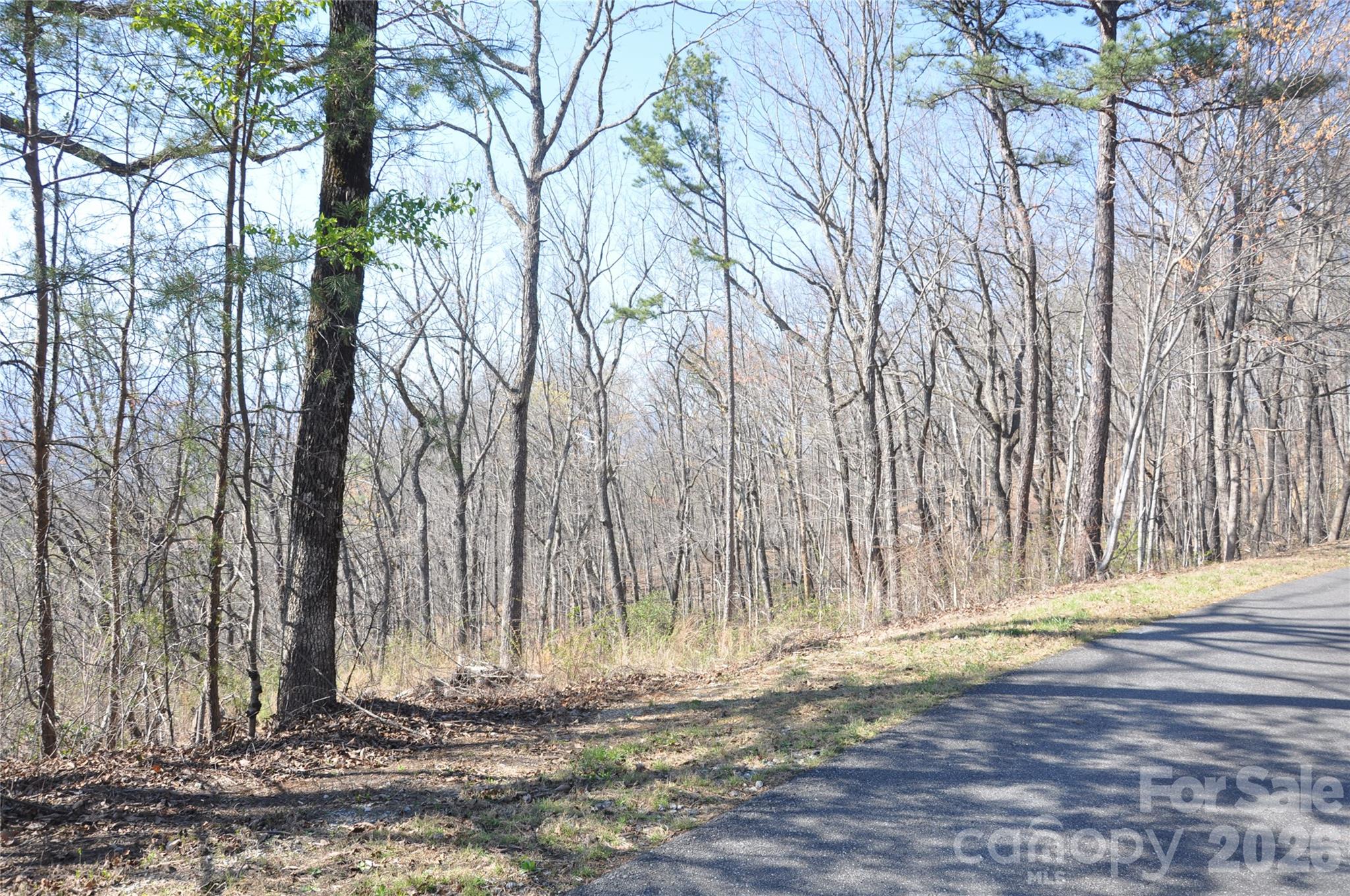 Tbd Mountain Crest Drive 41 Property Photo 6