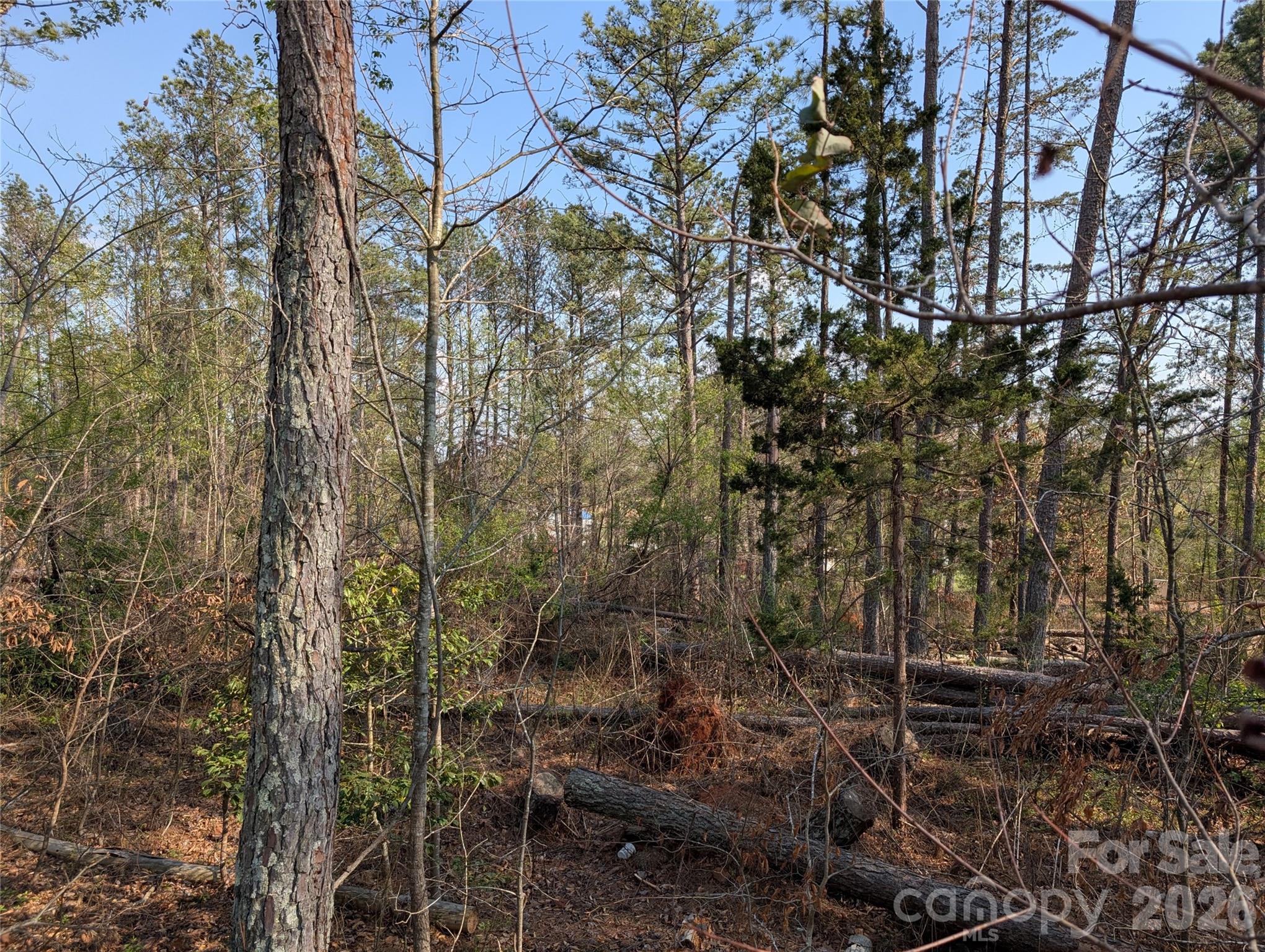 Tbd Whitesides Road Property Photo 1