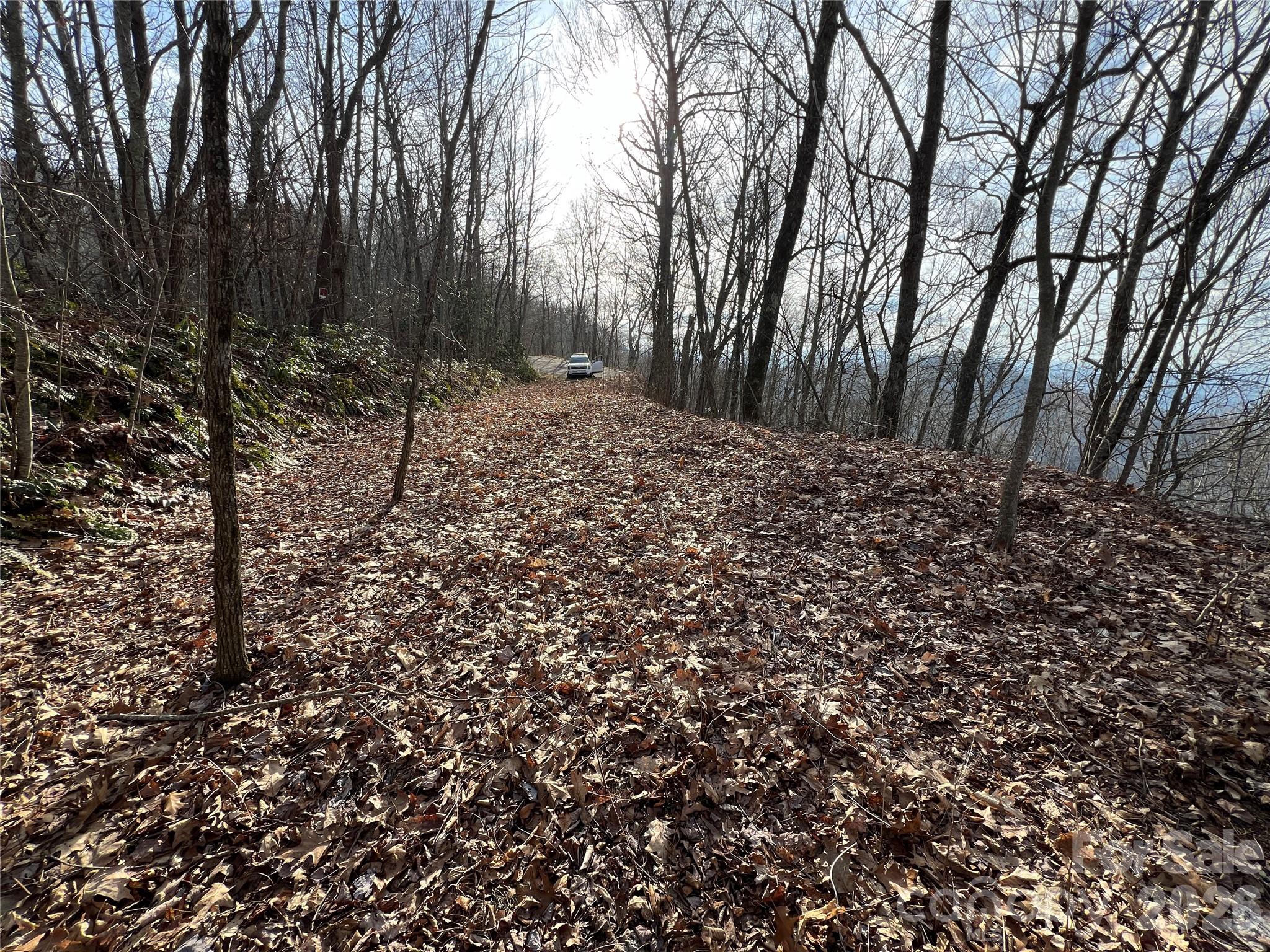 Lot 24/26 Butterfly Path 24/26 Property Photo 6