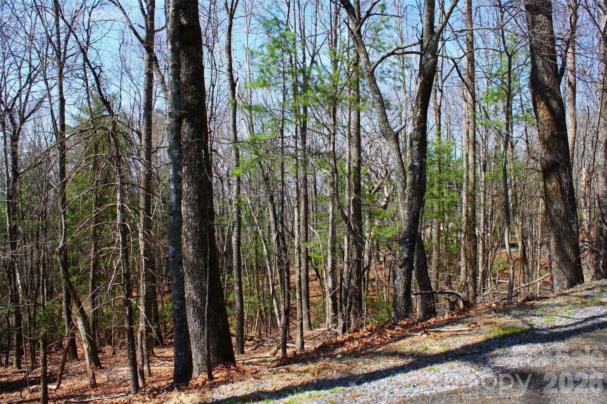 0000 Slick Rock Road Property Photo 1