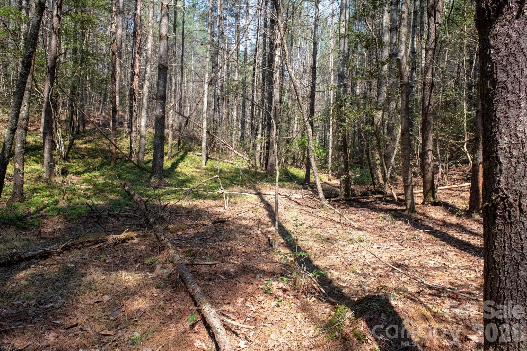 Tbd Ritter Ridge Lane 27 Property Photo 37
