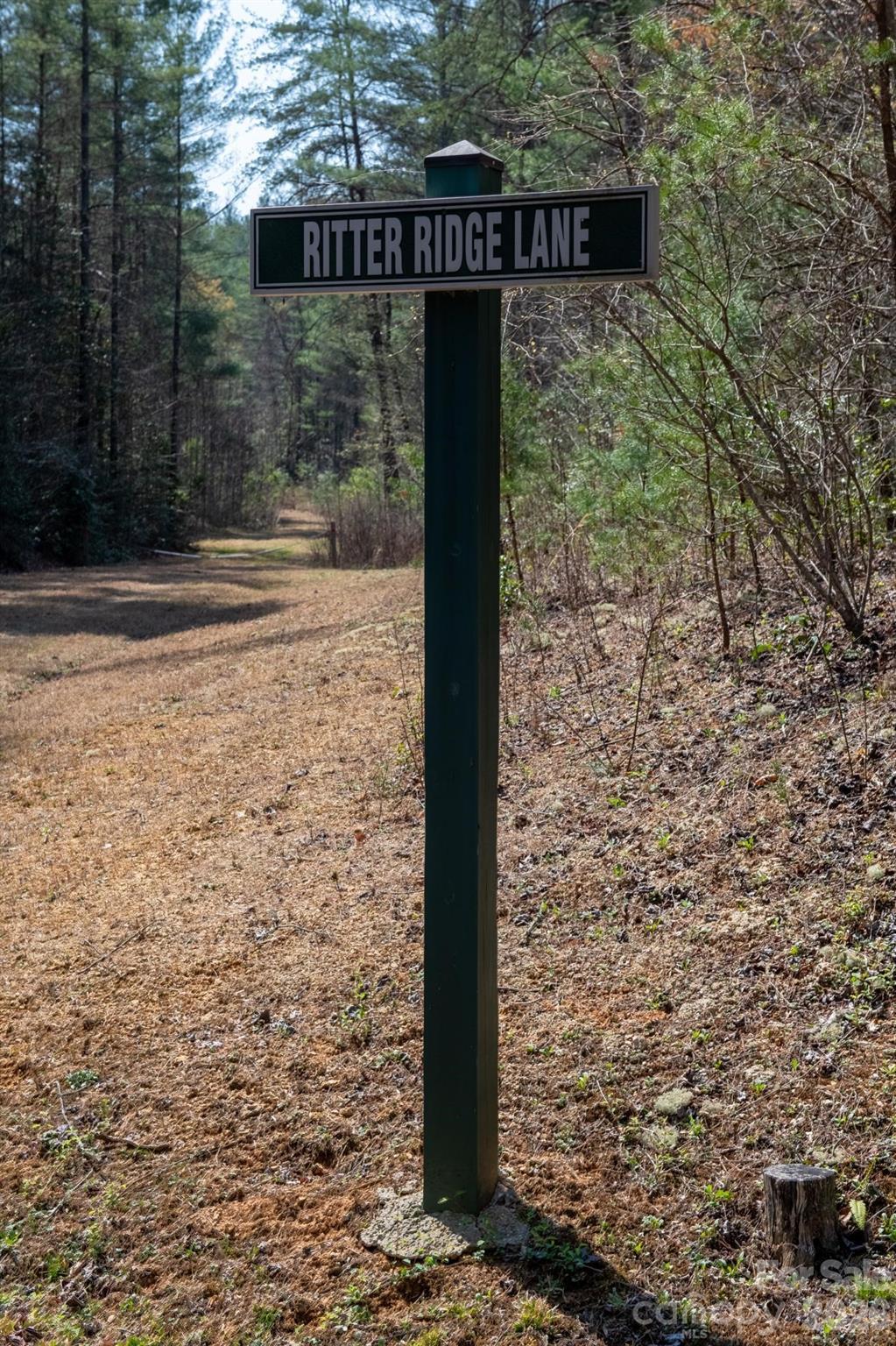 Tbd Ritter Ridge Lane 27 Property Photo 40
