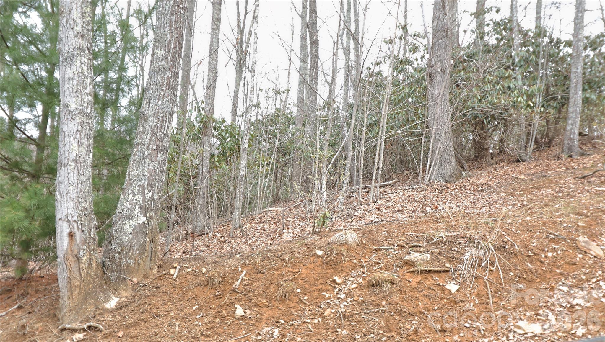 TBD Vineyards Retreat Road 14 Property Photo 1