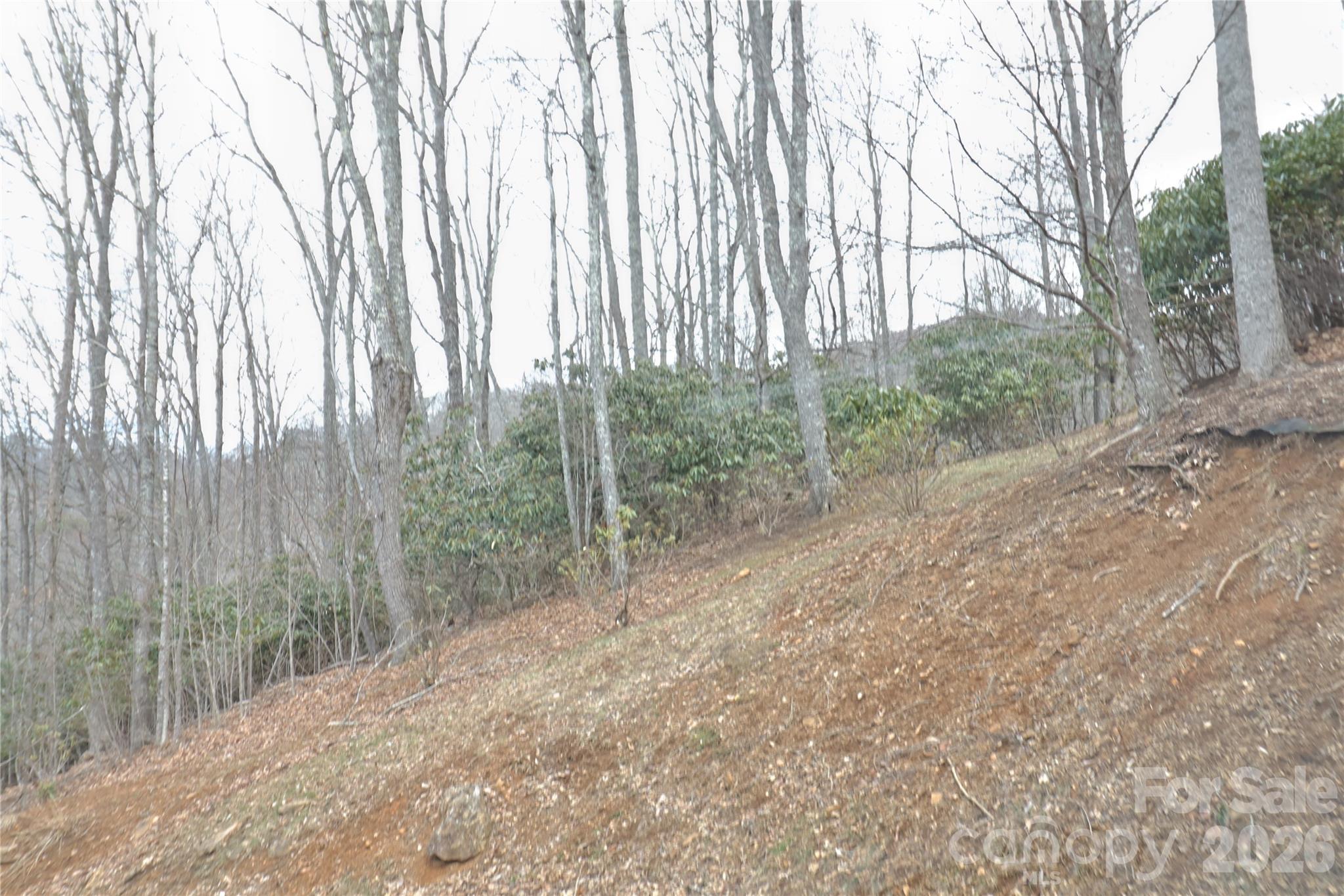 Tbd Vineyards Retreat Road 14 Property Photo 7