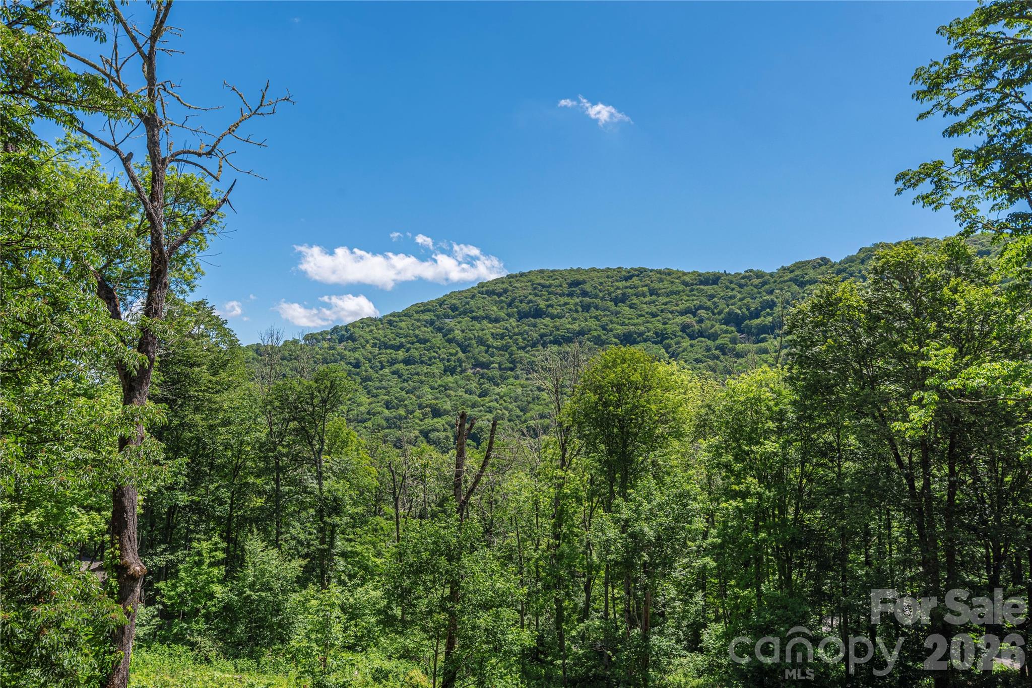85 Iga Trail Property Photo 39