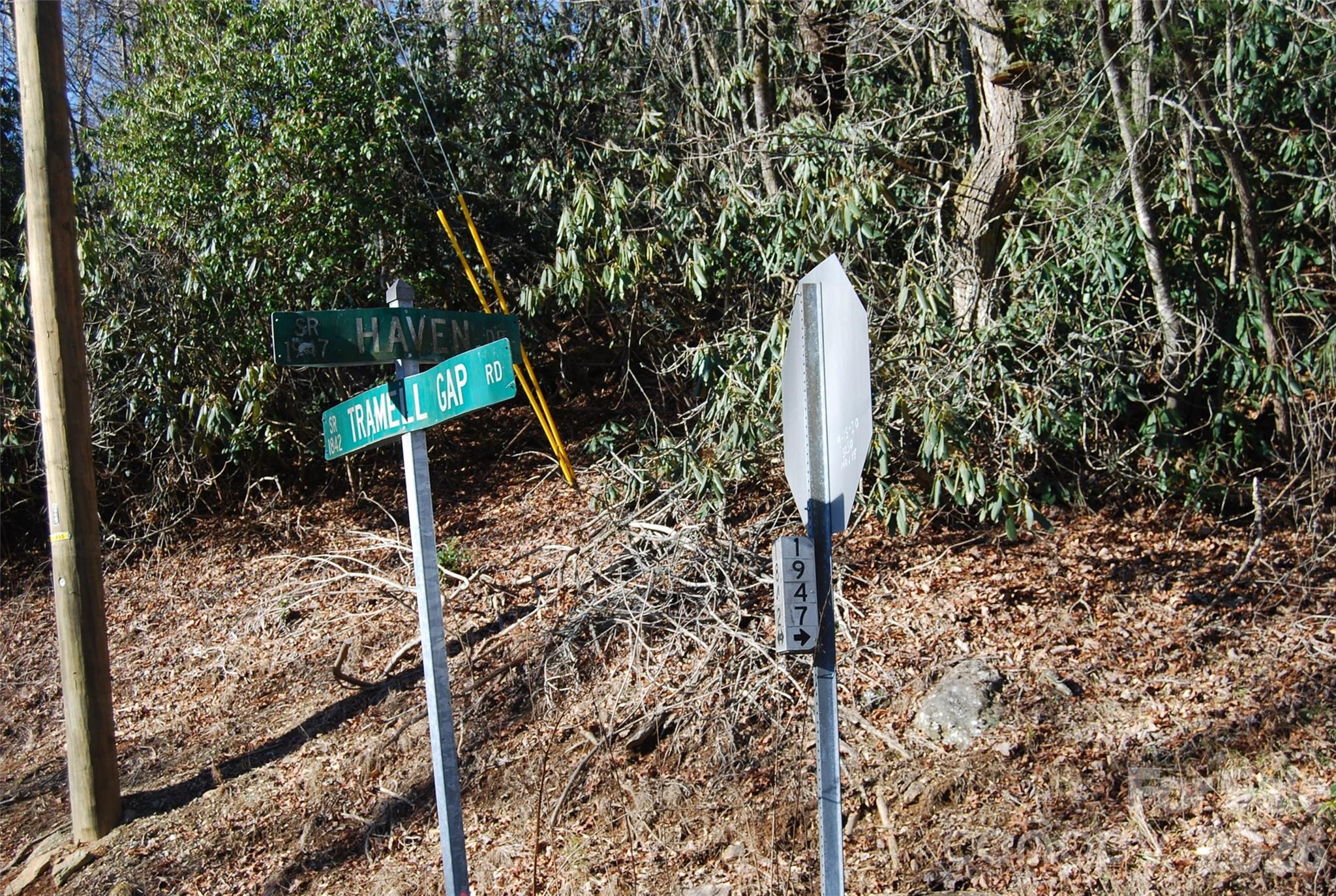 87 Pole Cat Road Property Photo 5