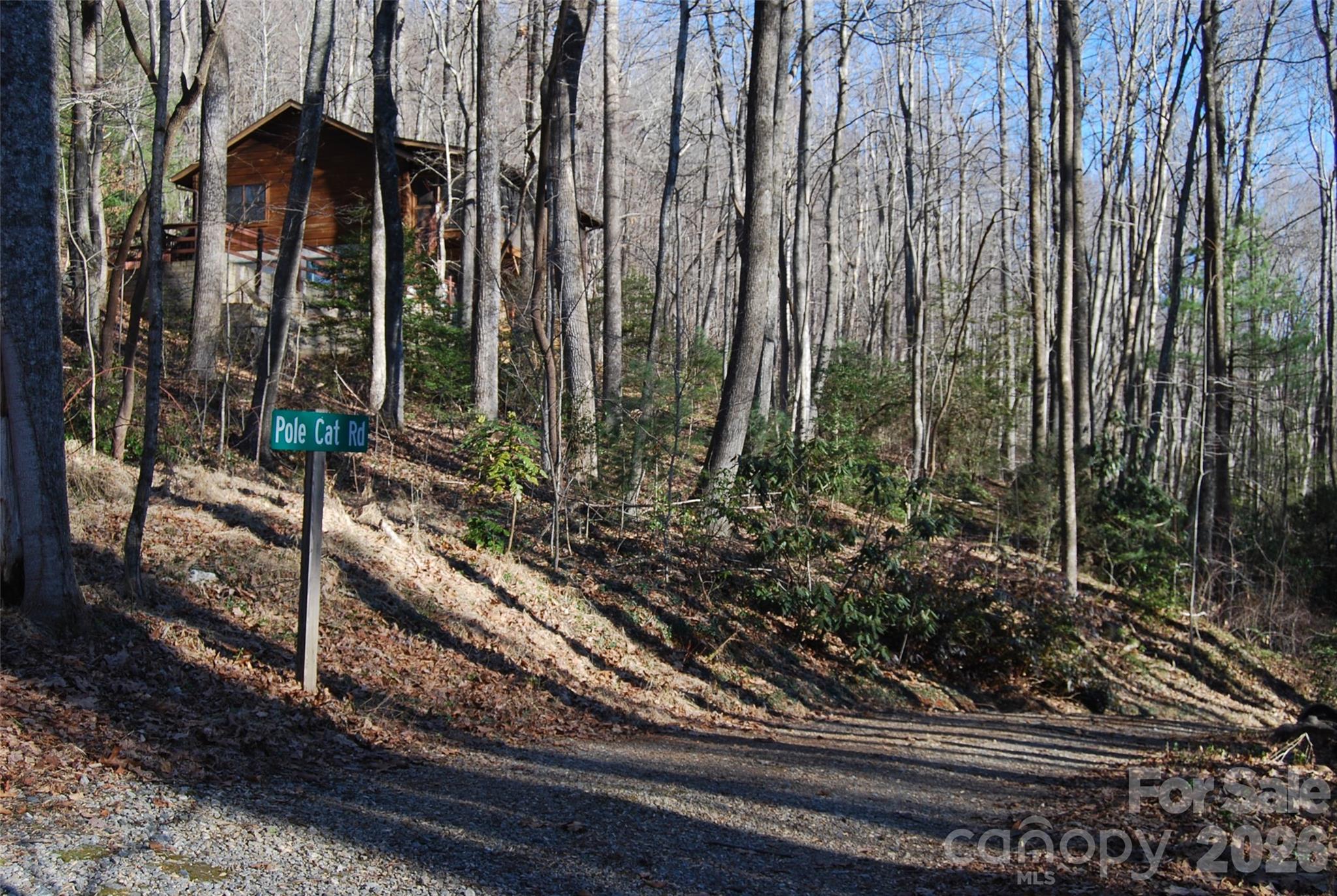 87 Pole Cat Road Property Photo 6