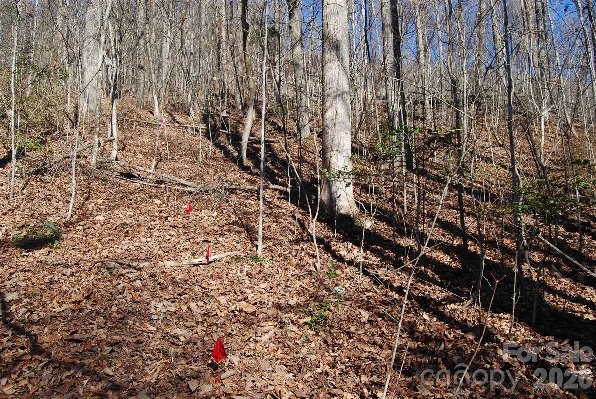 87 Pole Cat Road Property Photo 8