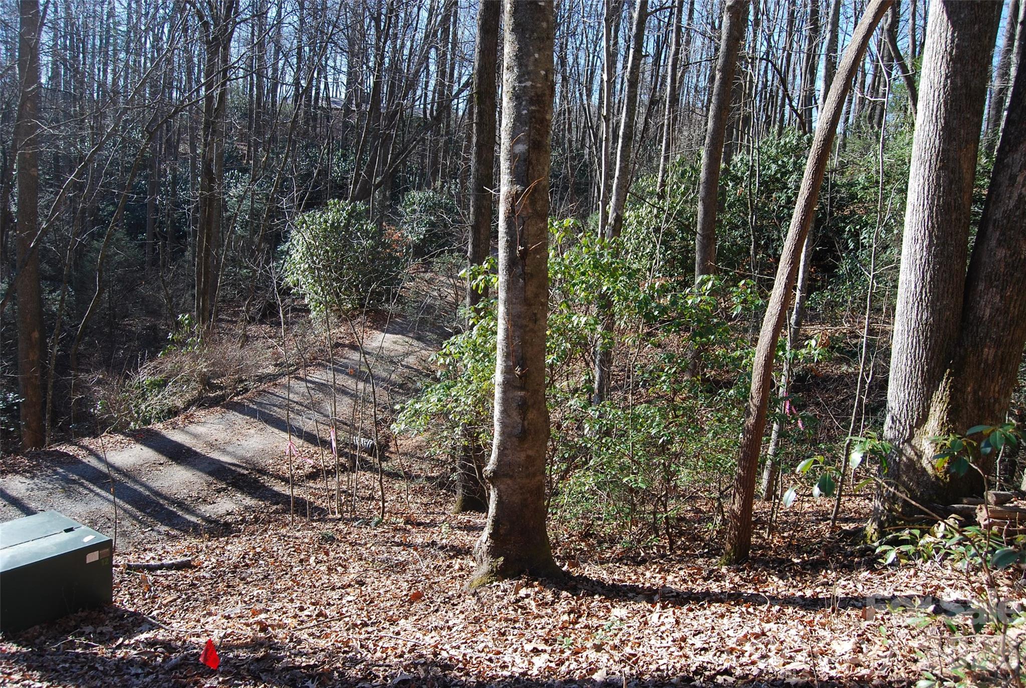 87 Pole Cat Road Property Photo 9