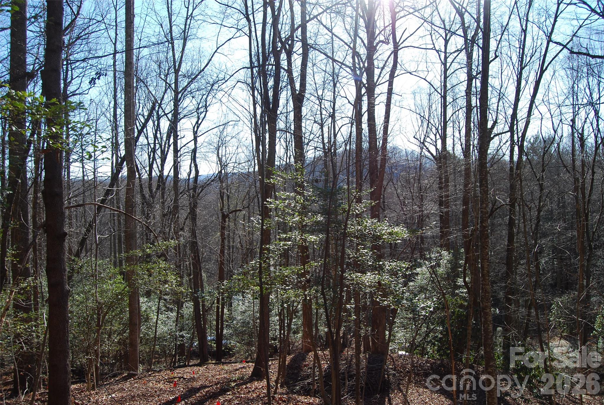 87 Pole Cat Road Property Photo 10