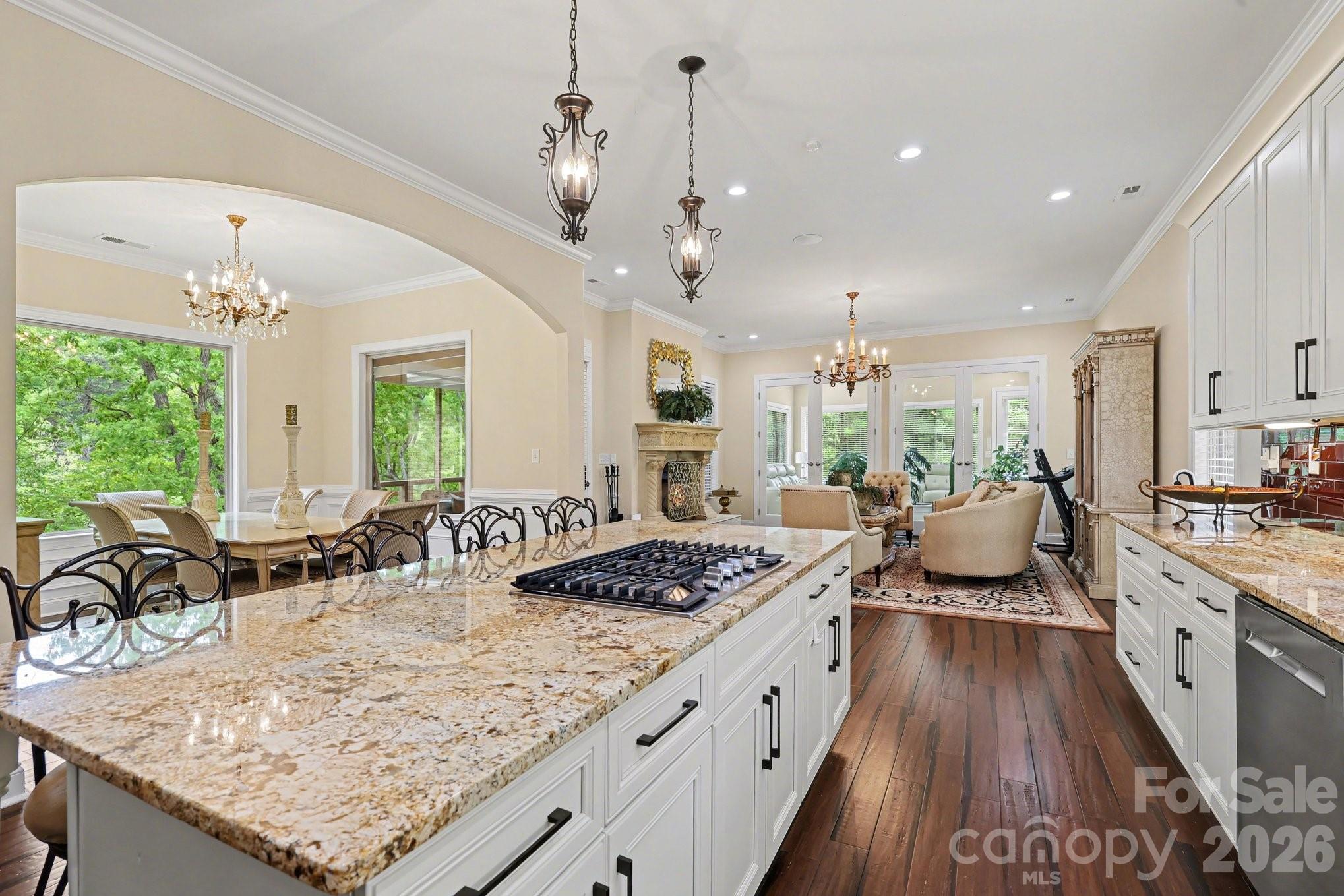 1629 Healing Springs Drive Property Photo 5