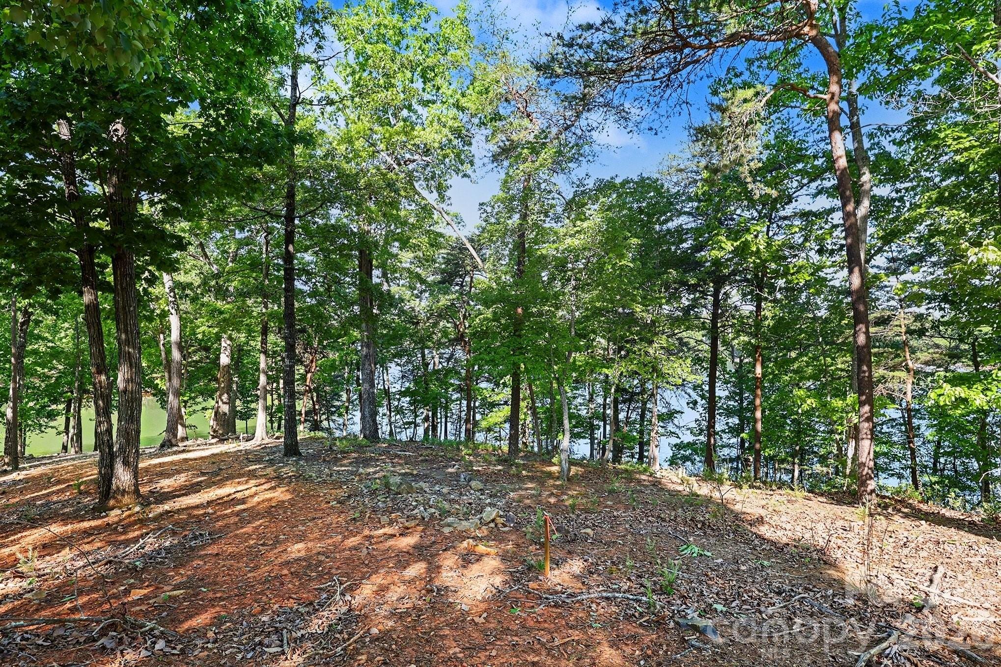 1629 Healing Springs Drive Property Photo 38