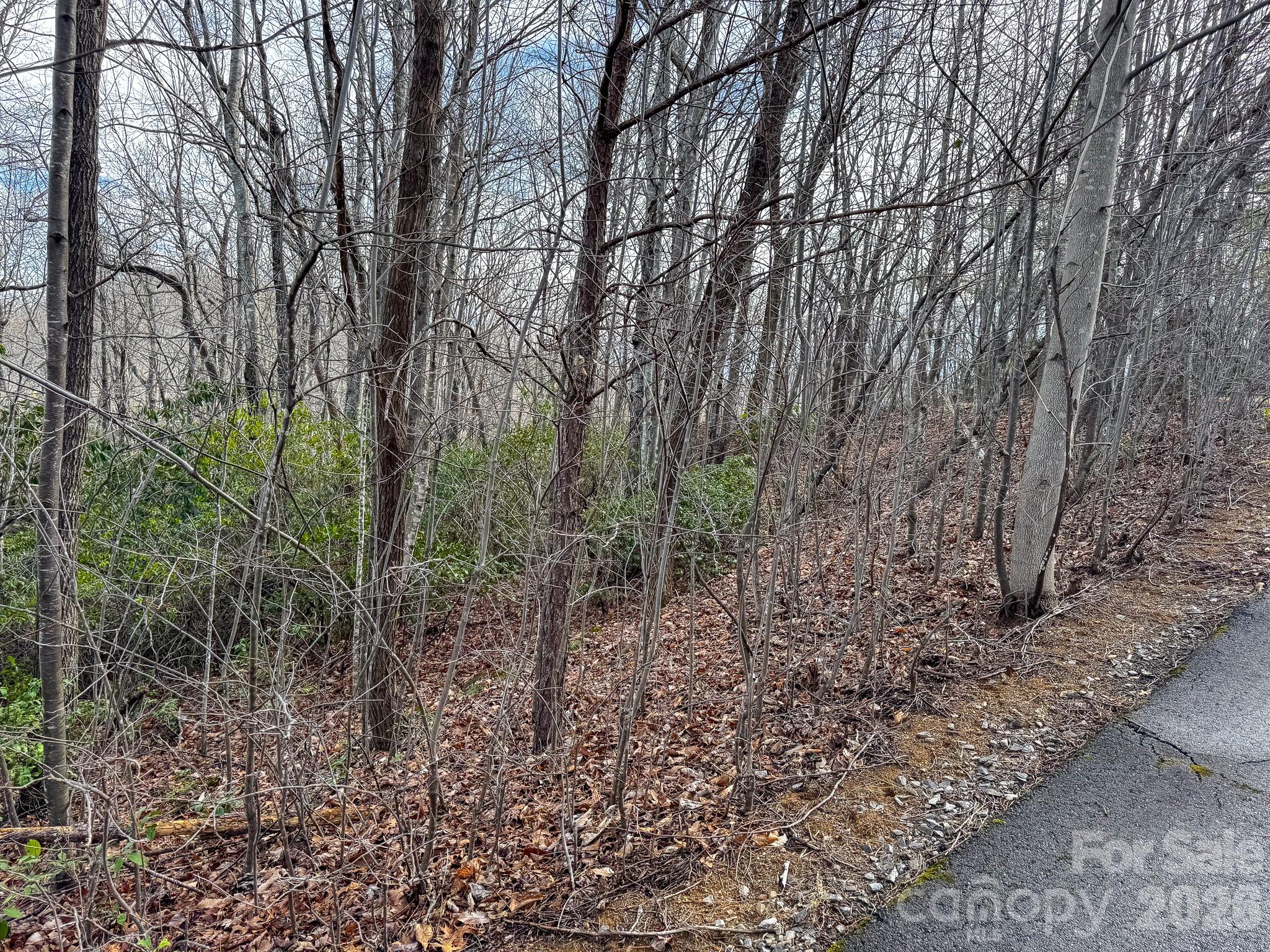 9999 Rainbow Falls Trail Property Photo 2
