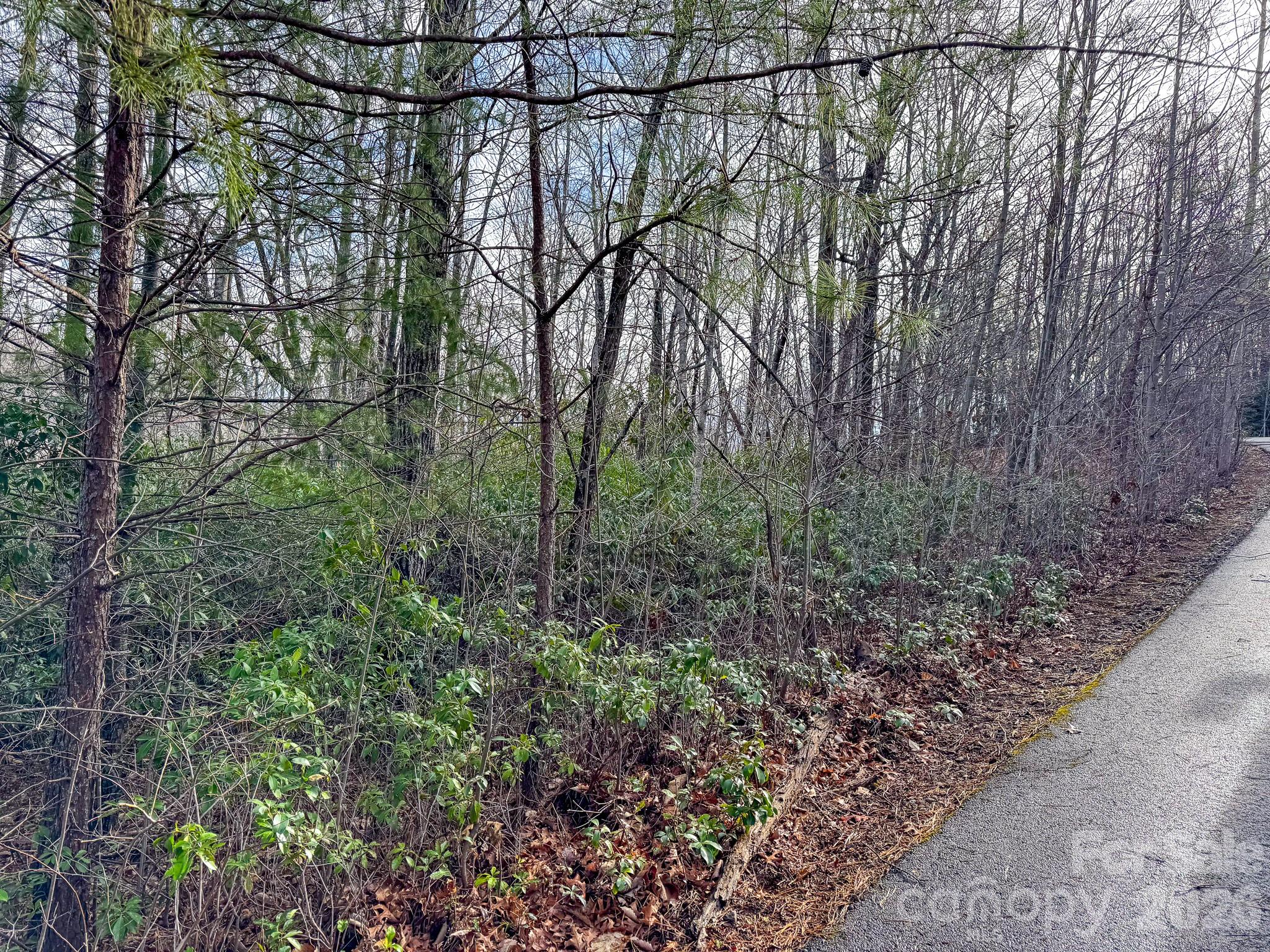 9999 Rainbow Falls Trail Property Photo 3