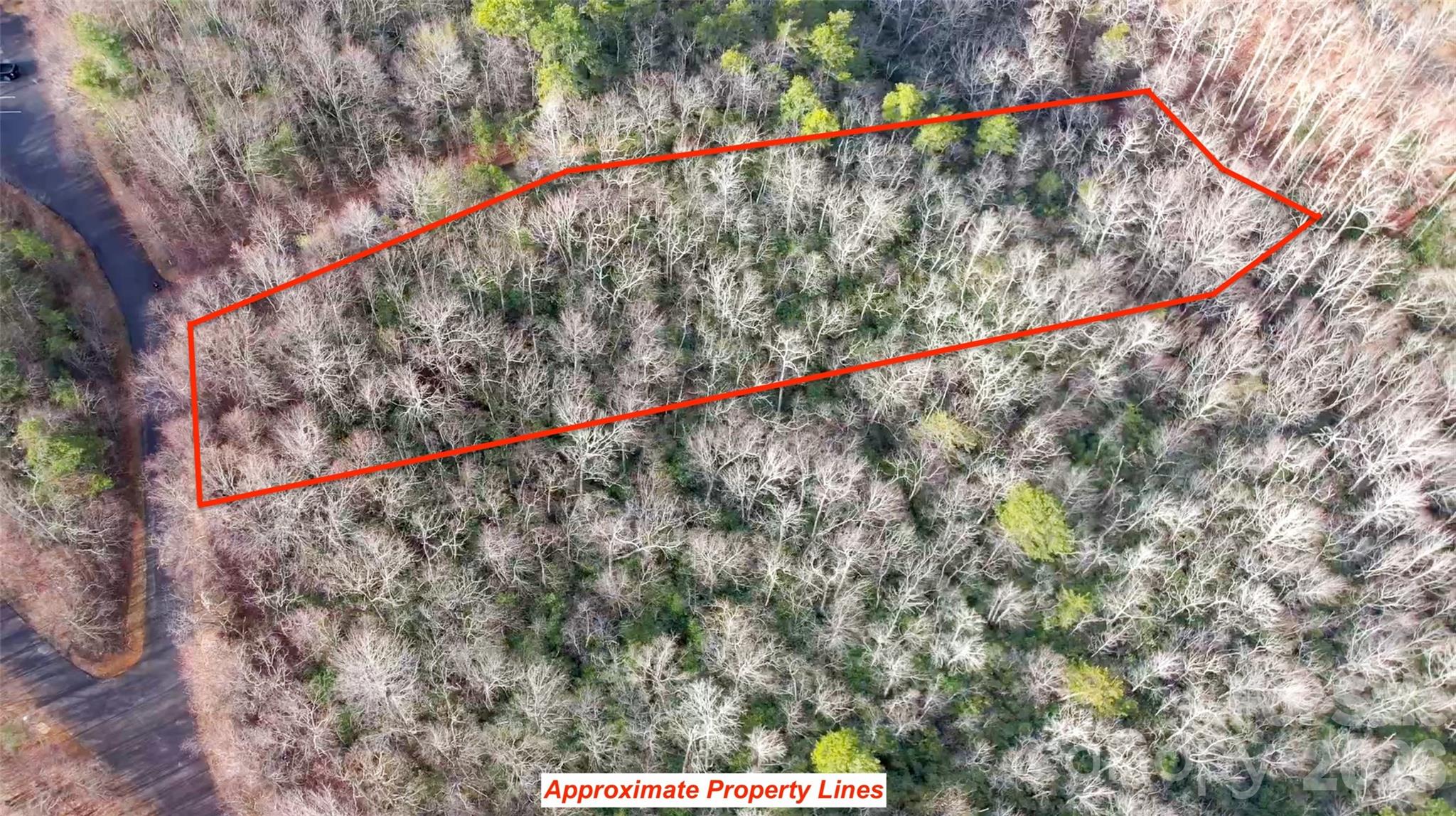 9999 Rainbow Falls Trail Property Photo 4