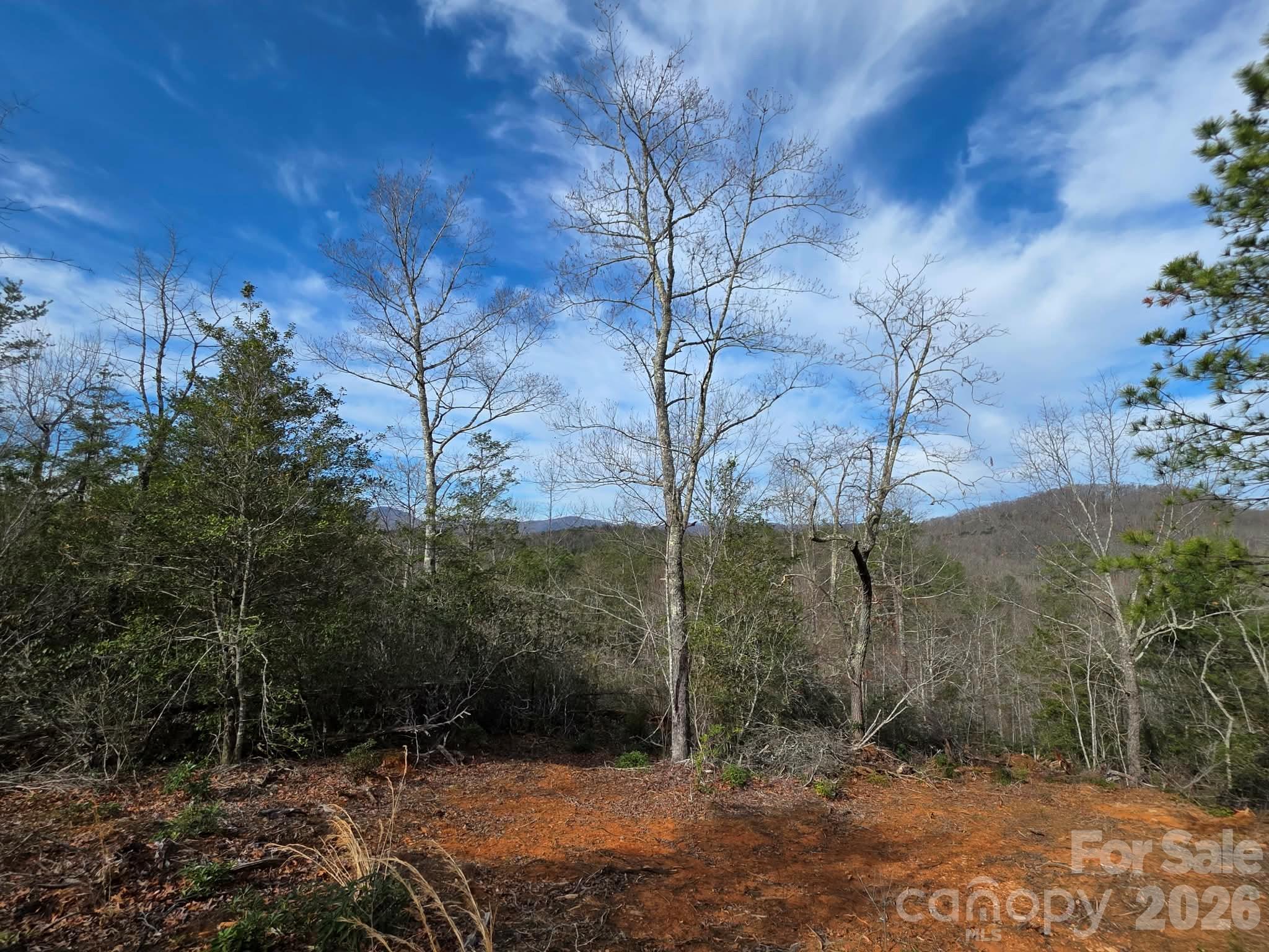 Lot 9 Kerlee Lane Property Photo 1
