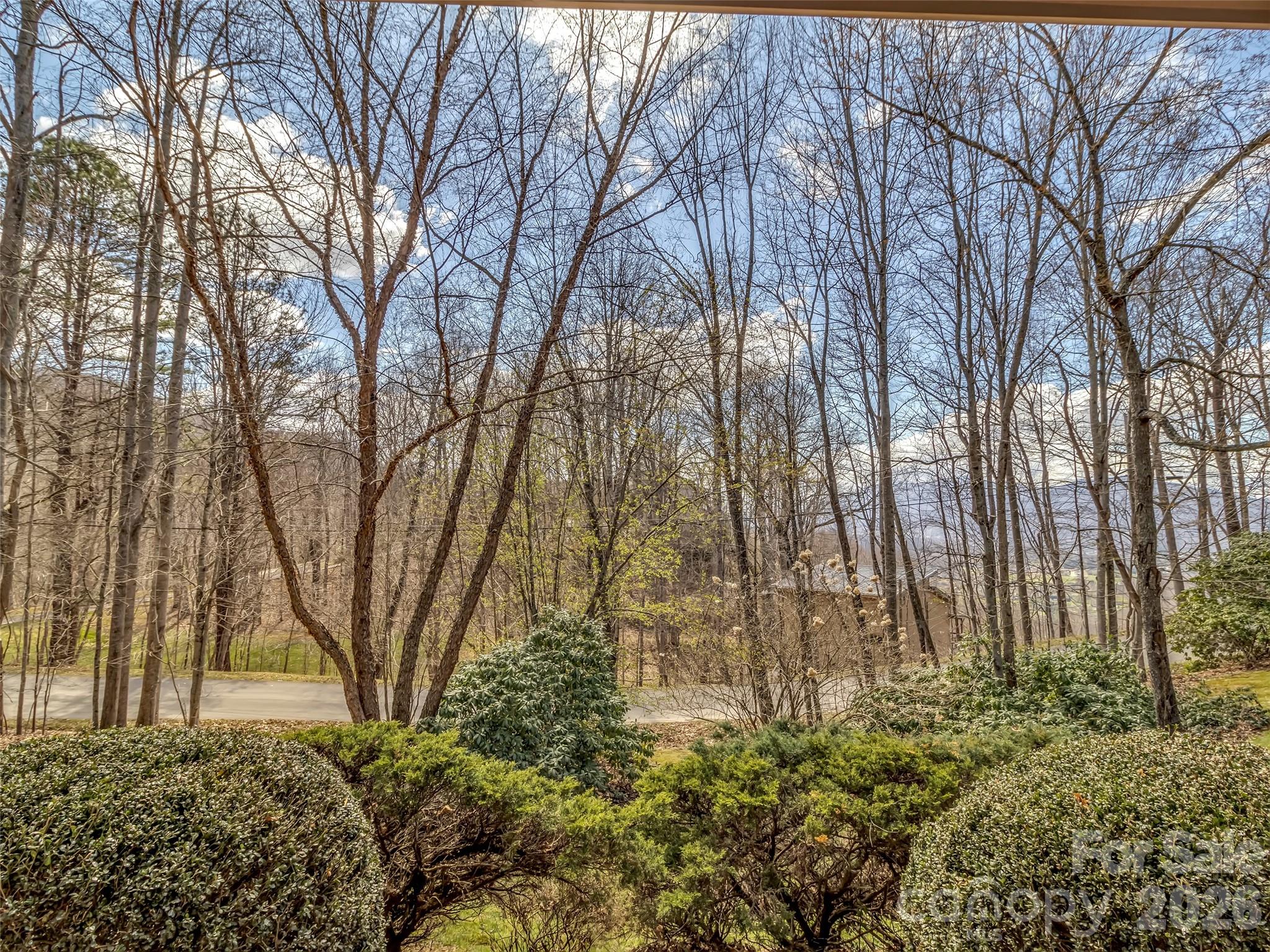 523 Brandywine Road Property Photo 36